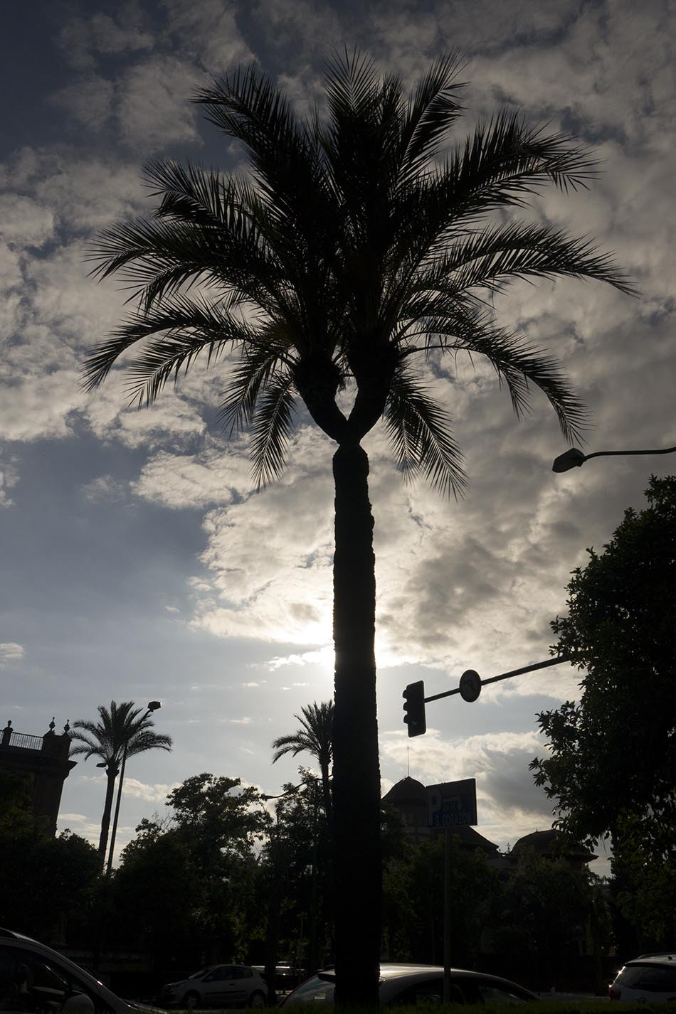 Panasonic Lumix DMC-GH2 sample photo. Contrapalmera photography