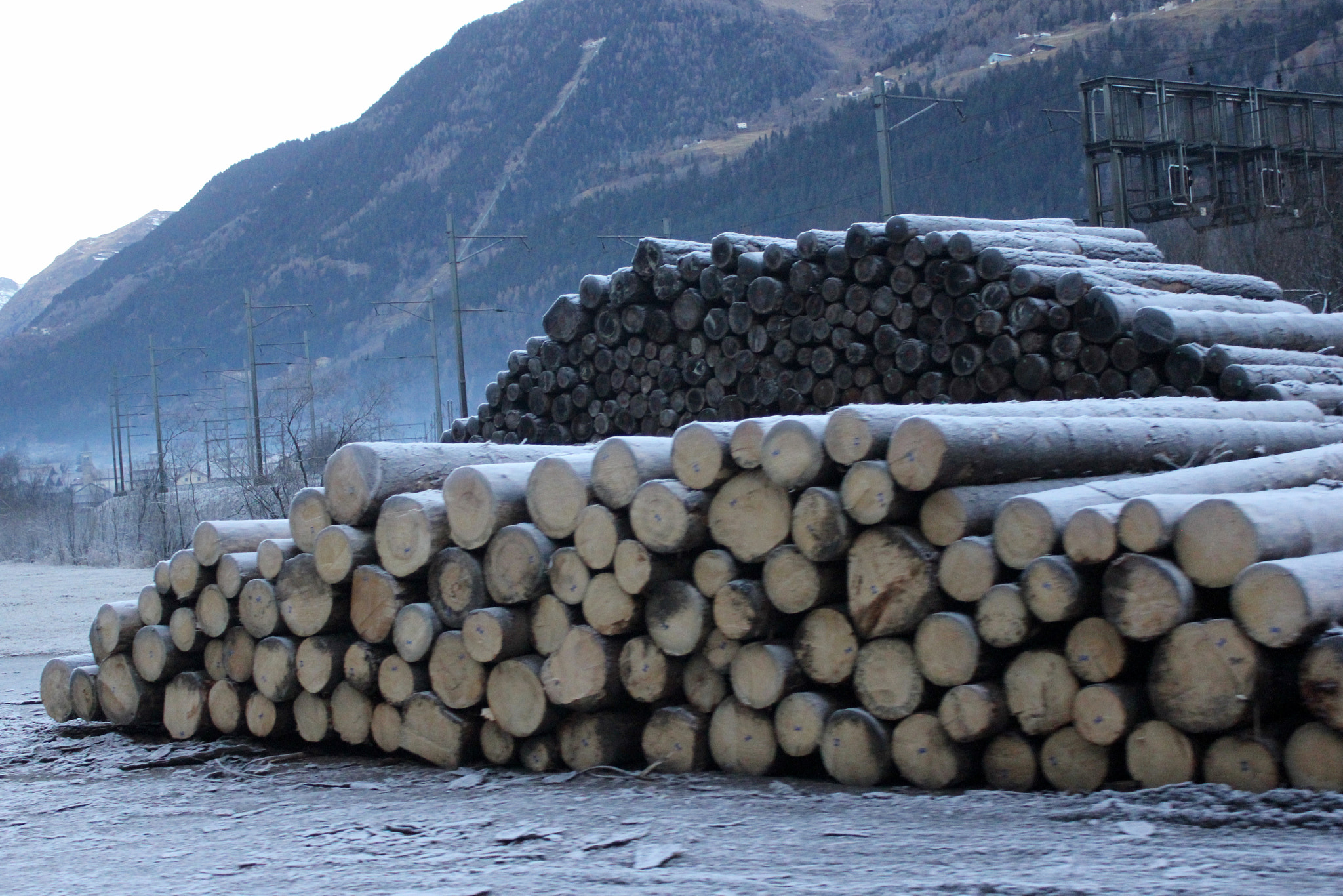 Canon EF-S 18-55mm F3.5-5.6 IS sample photo. The swiss log pile photography