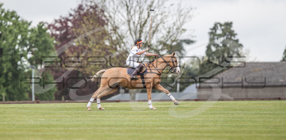 Canon EF 300mm F2.8L IS USM sample photo. Polo photography