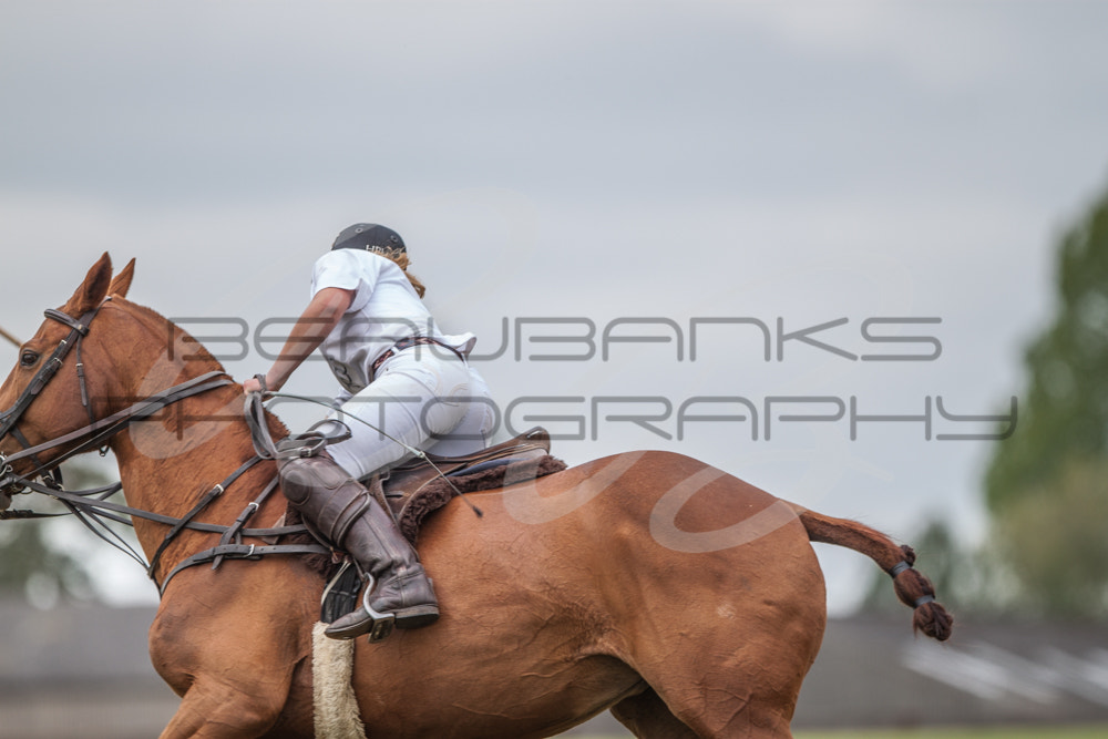 Canon EOS 500D (EOS Rebel T1i / EOS Kiss X3) + Canon EF 300mm F2.8L IS USM sample photo. Polo photography