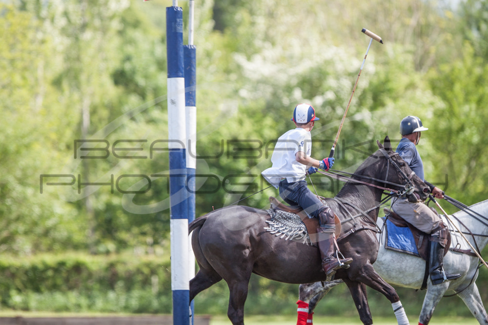 Canon EOS 500D (EOS Rebel T1i / EOS Kiss X3) + Canon EF 300mm F2.8L IS USM sample photo. Polo photography