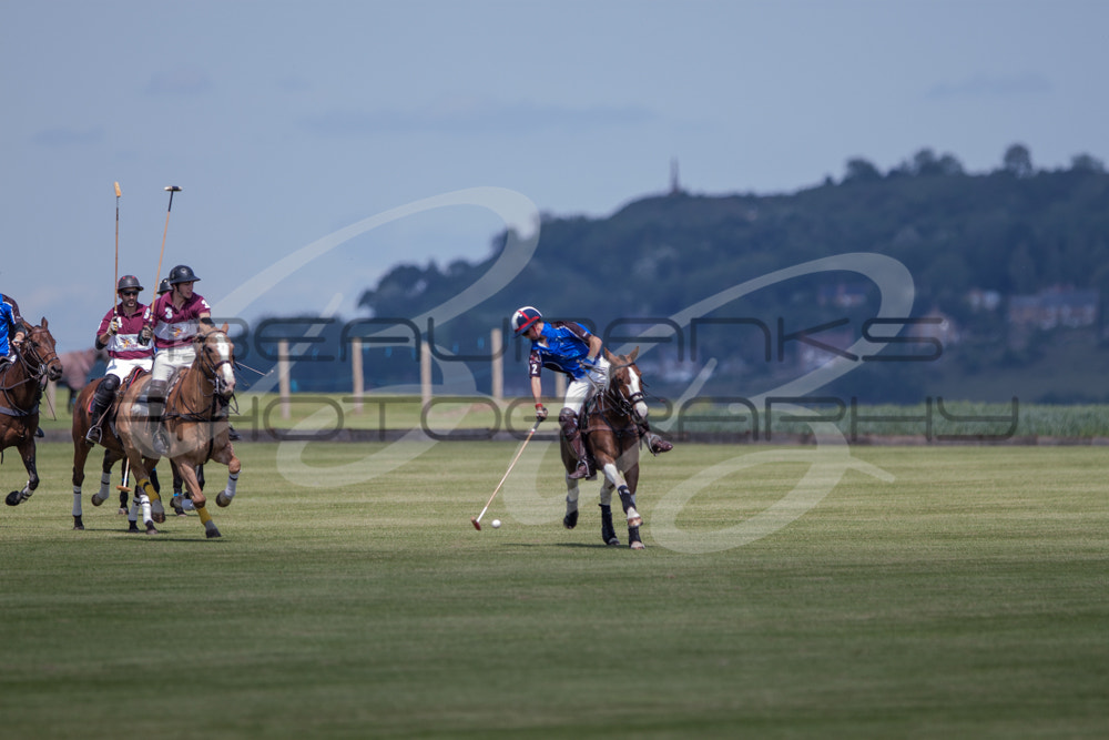 Canon EF 300mm F2.8L IS USM sample photo. Polo photography