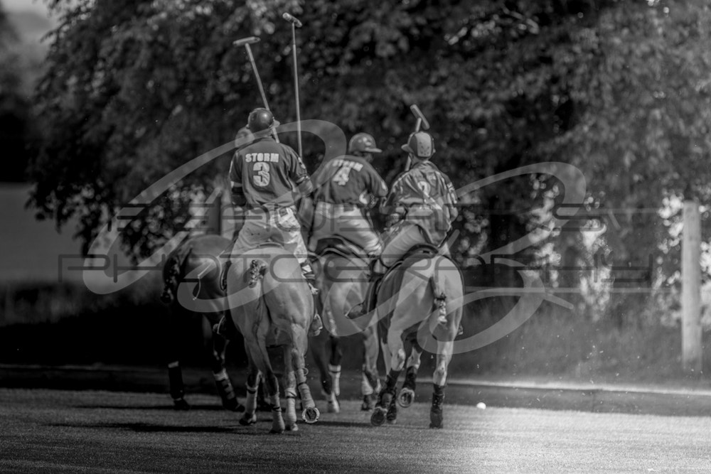 Canon EF 300mm F2.8L IS USM sample photo. Polo photography