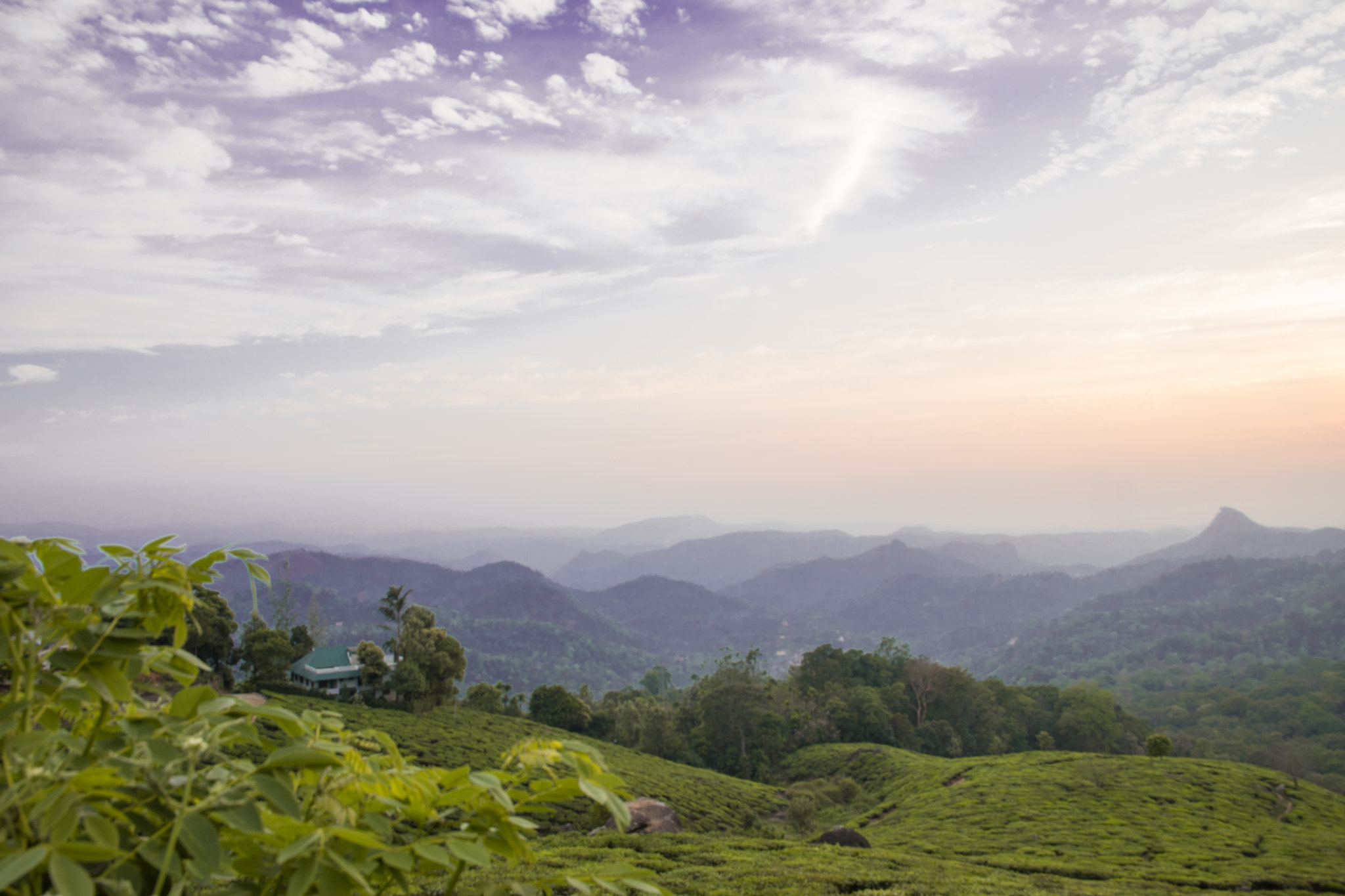 Nikon D600 sample photo. Munnar ,kerala photography
