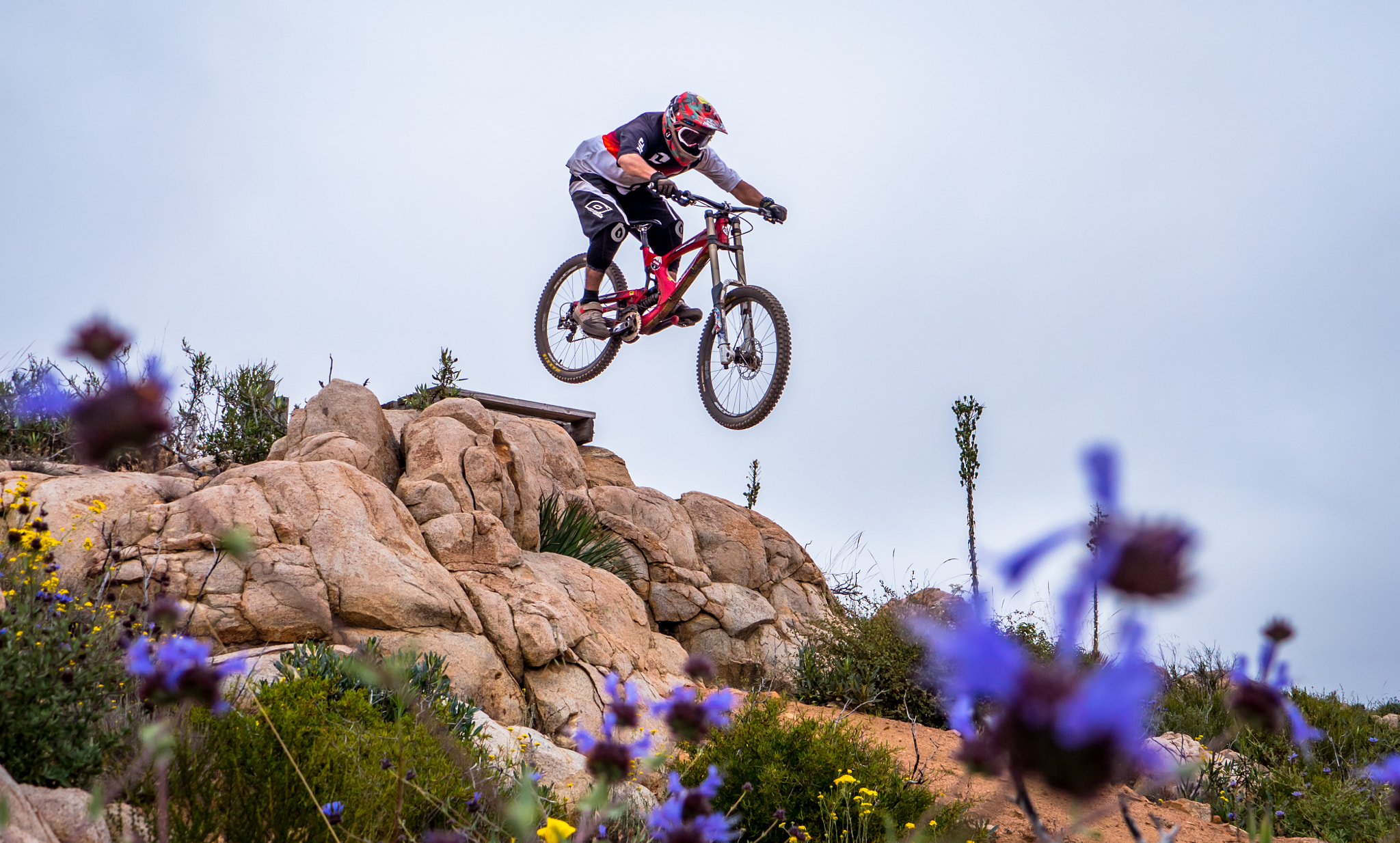 Panasonic Lumix DMC-GH4 sample photo. Purple jump photography