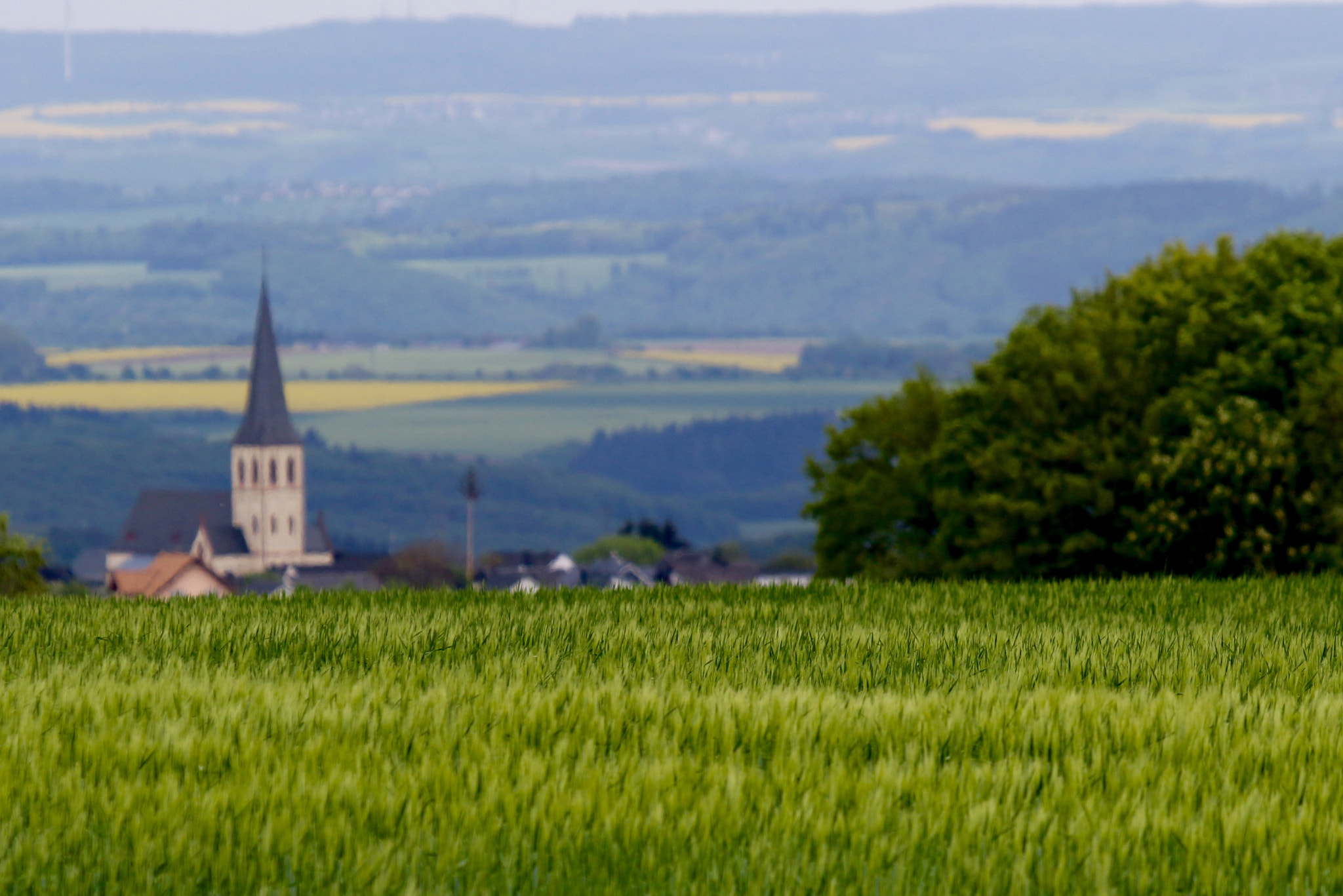 Canon EOS 7D Mark II + Canon EF 100-400mm F4.5-5.6L IS USM sample photo. Masburg area photography