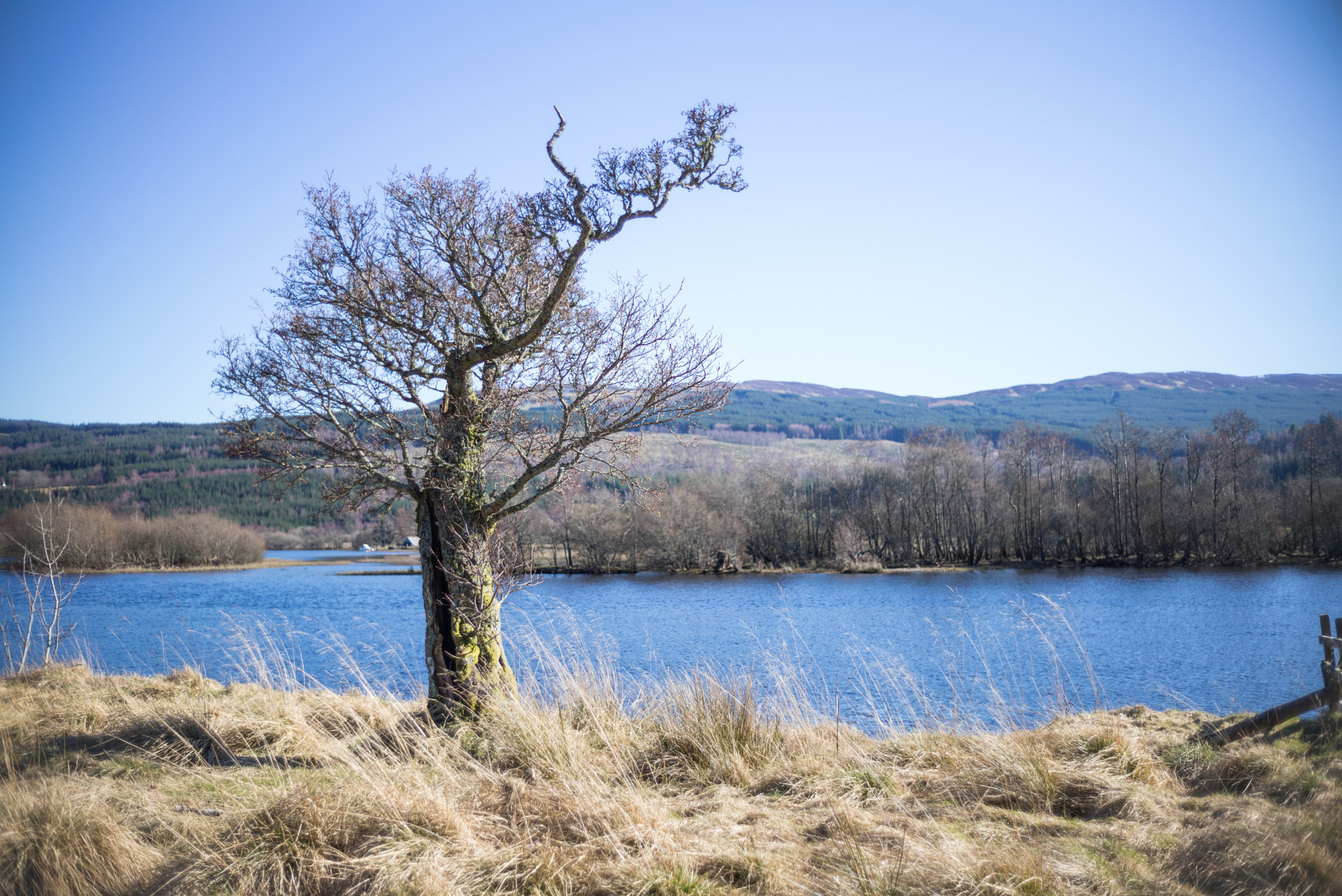 Summicron-M 1:2/35 sample photo. Scotland photography