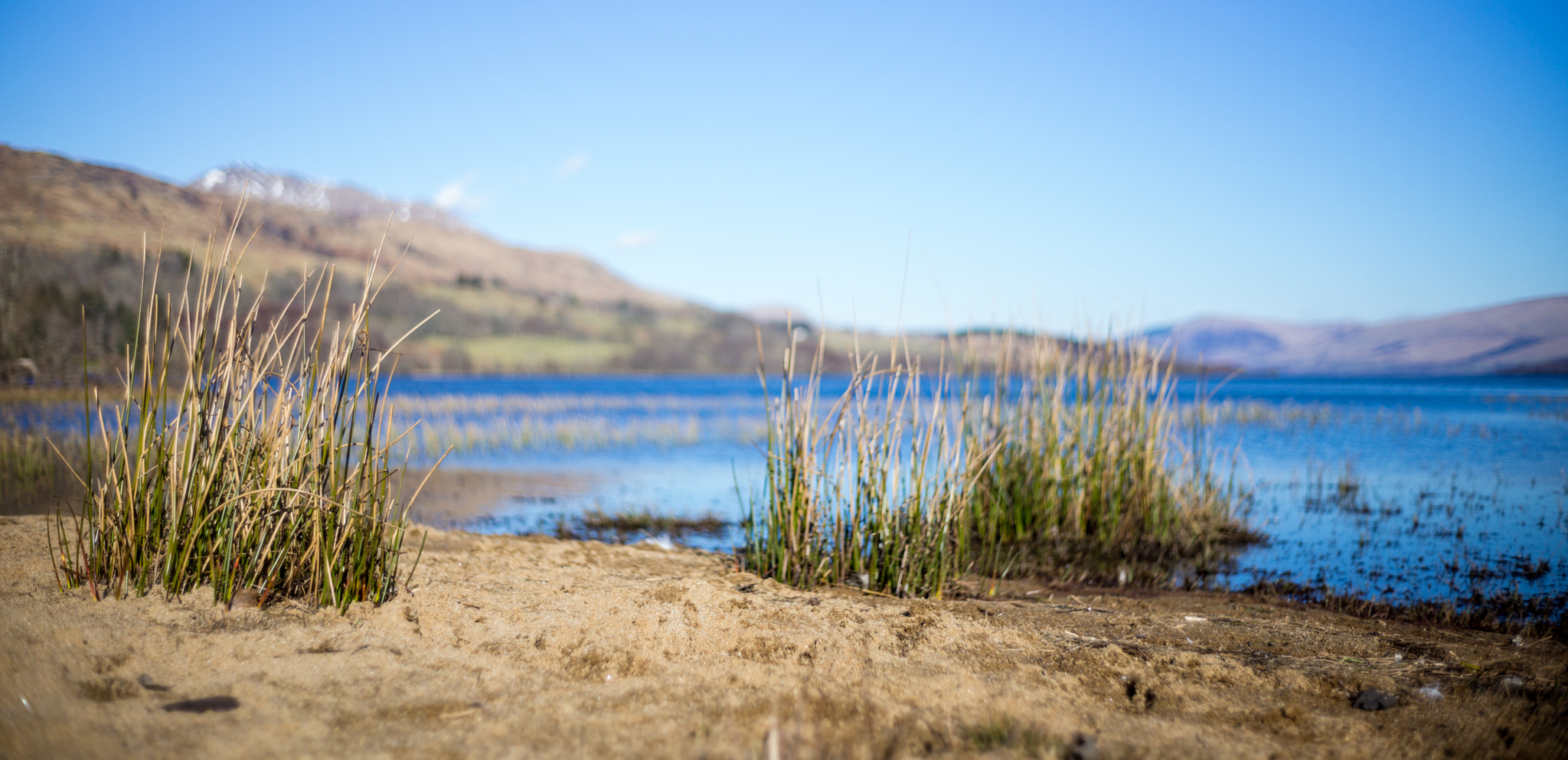 Summicron-M 1:2/35 sample photo. Scotland photography