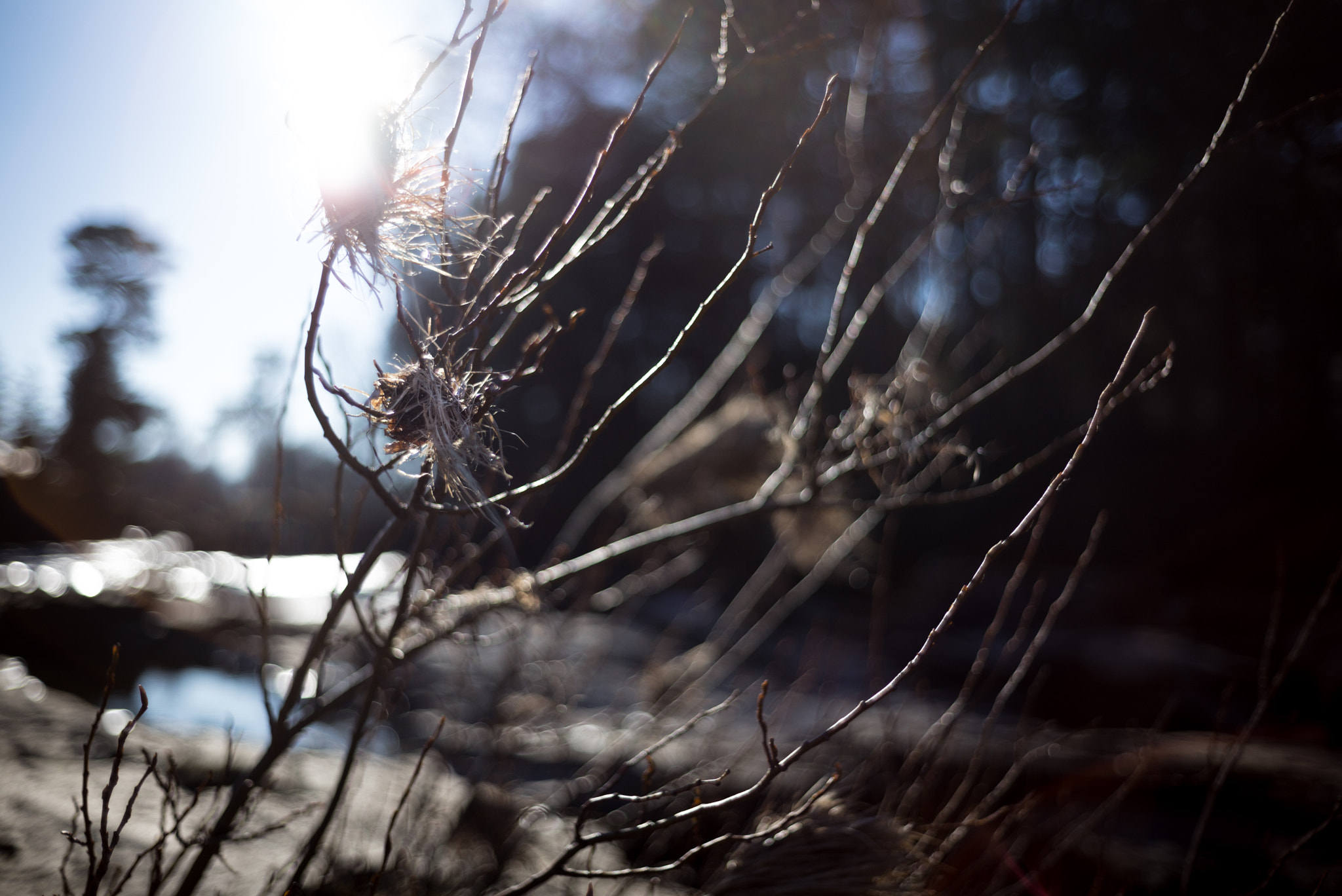 Summicron-M 1:2/35 sample photo. Scotland photography