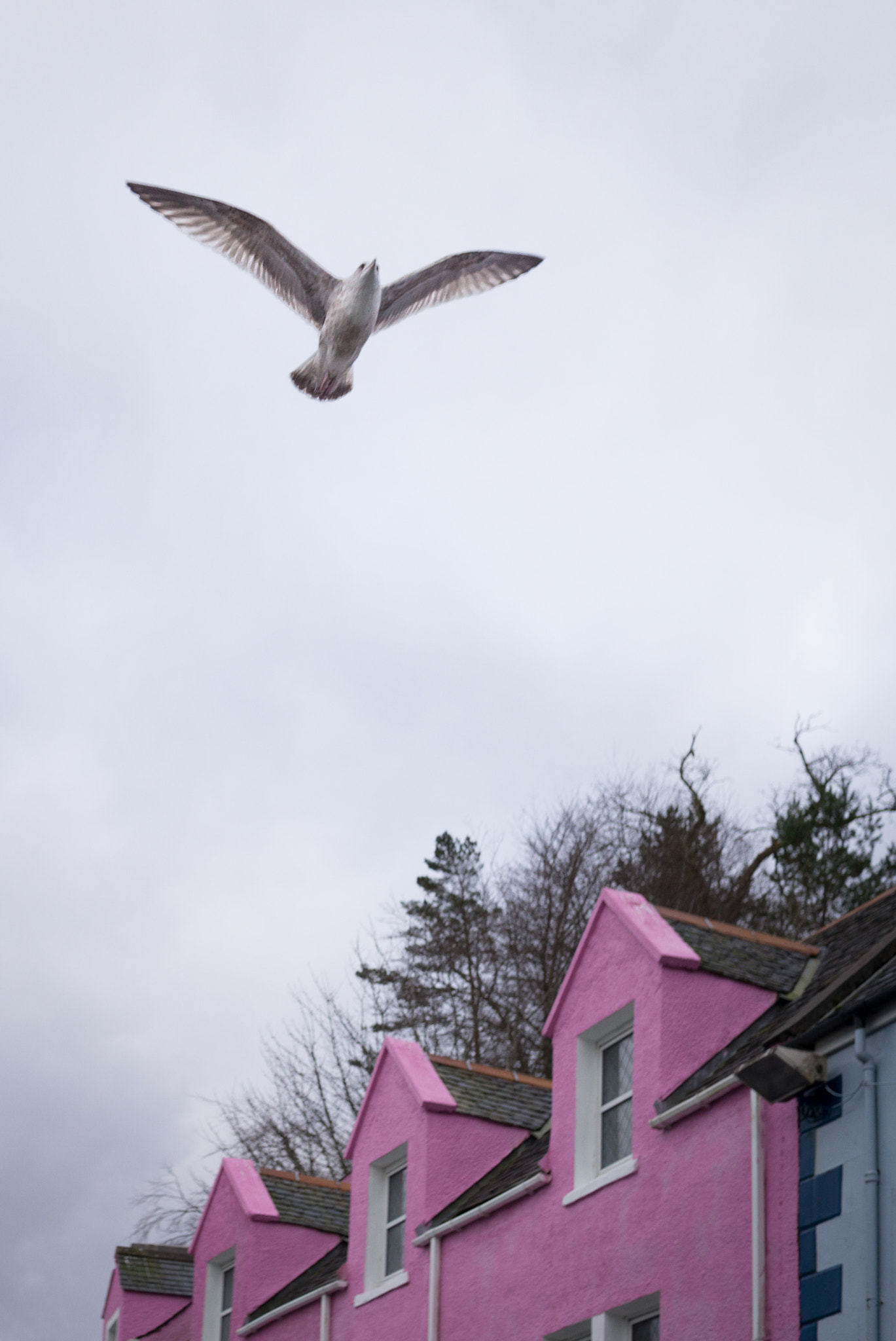 Summicron-M 1:2/35 sample photo. Scotland photography