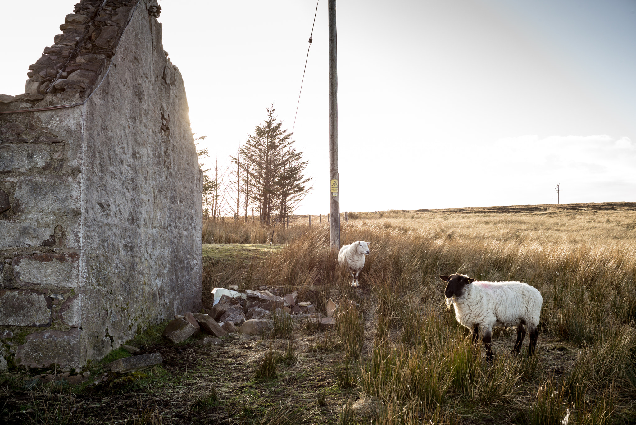 Summicron-M 1:2/35 sample photo. Scotland photography