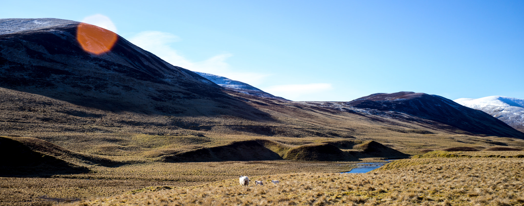 Summicron-M 1:2/35 sample photo. Scotland photography