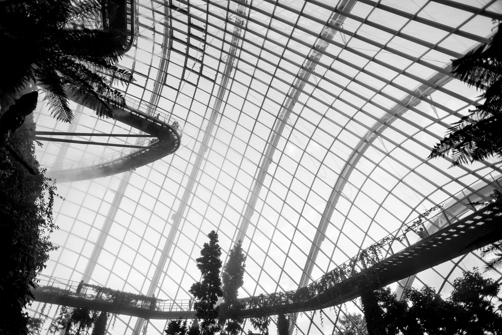 Nikon D600 + Nikon AF Nikkor 20mm F2.8D sample photo. Gardens by the bay photography