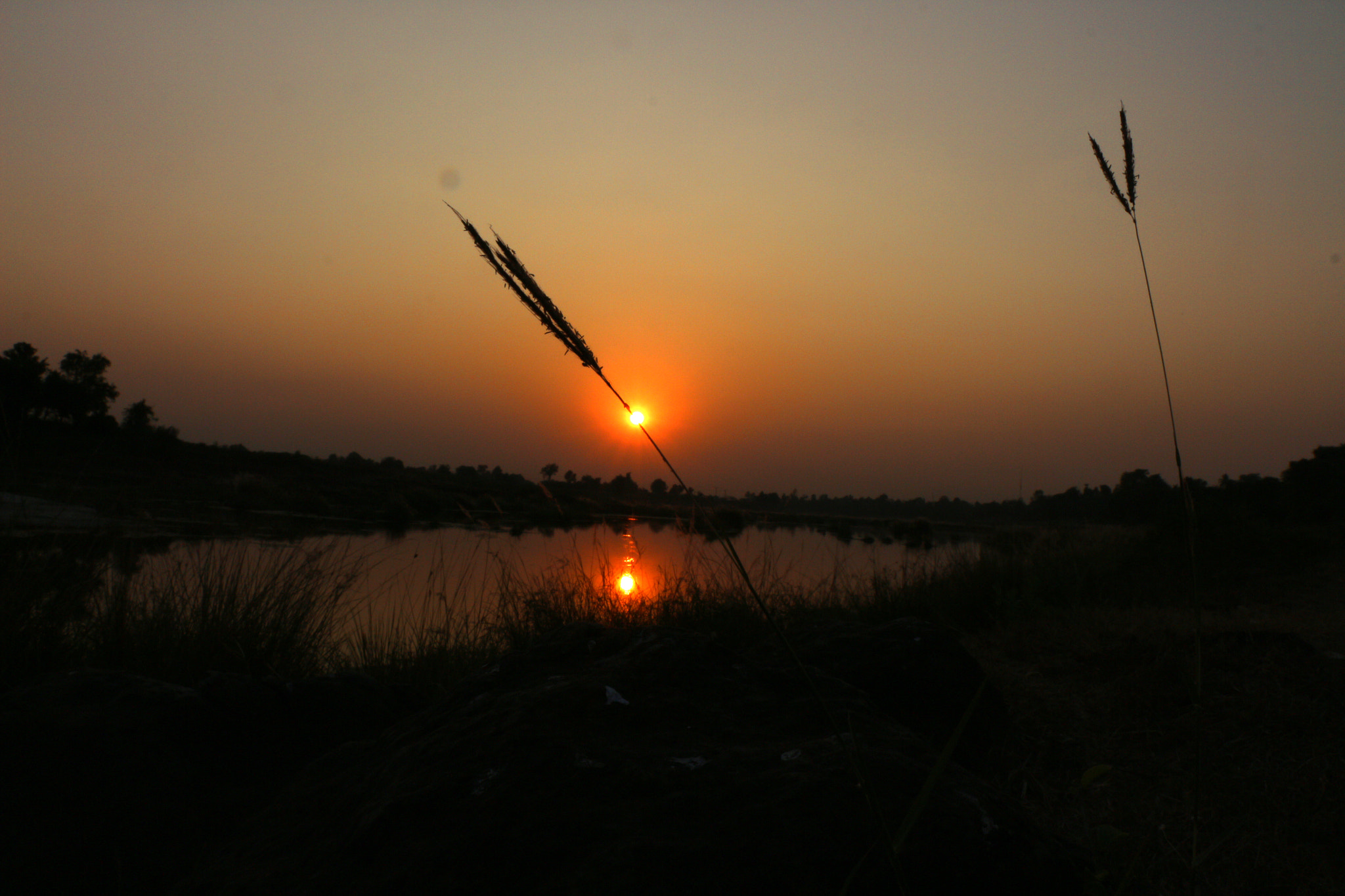 Canon EF-S 18-135mm F3.5-5.6 IS STM sample photo. Perspective of nature. photography