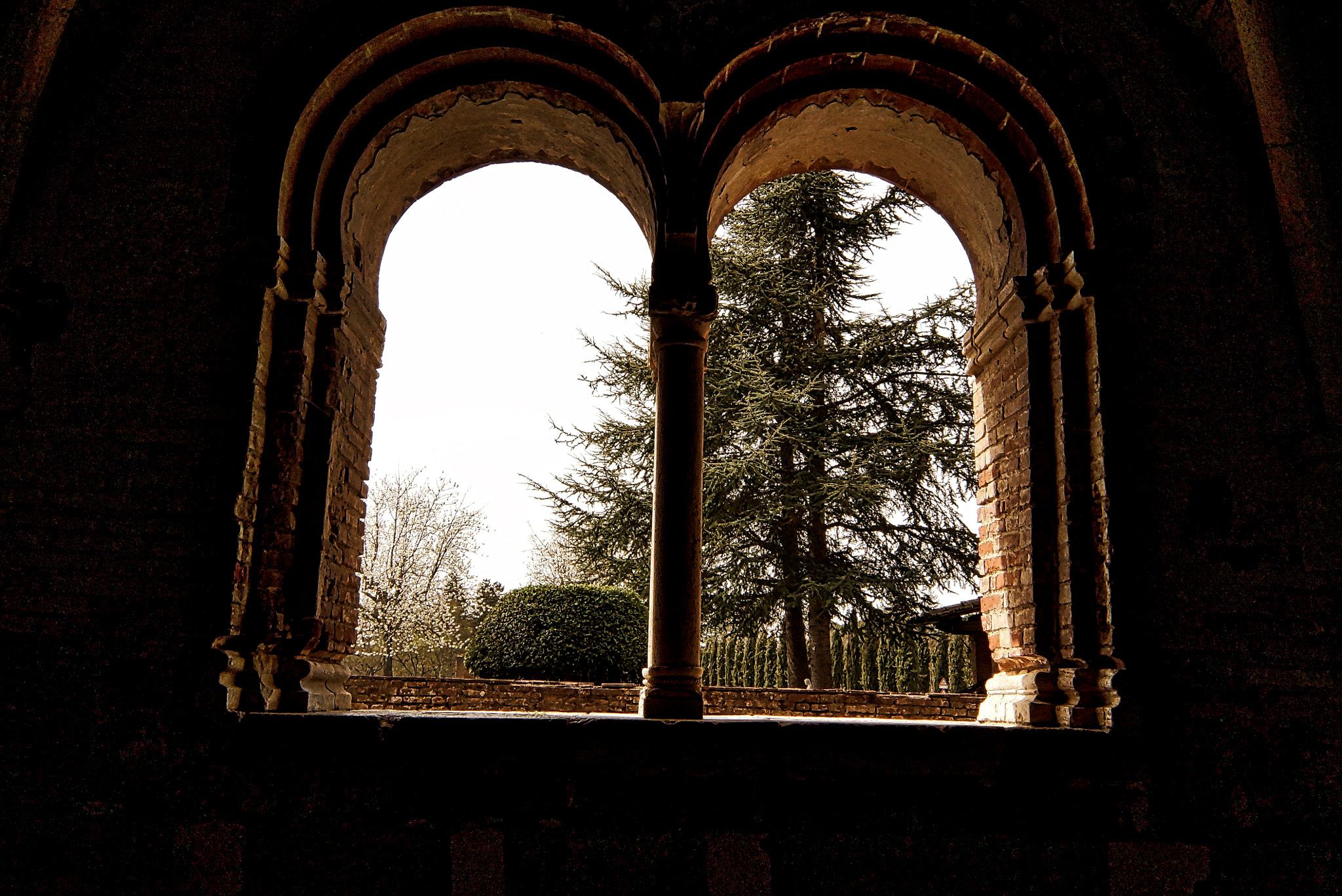 Sony SLT-A65 (SLT-A65V) + 20mm F2.8 sample photo. Abbey of san galgano photography