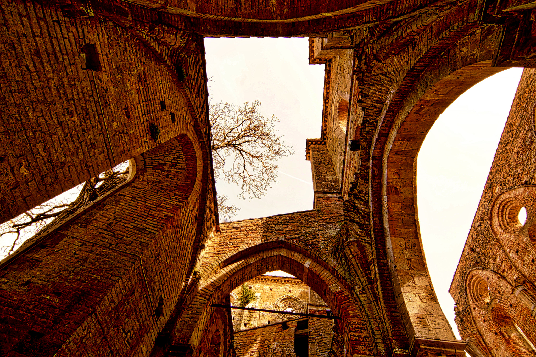 Sony SLT-A65 (SLT-A65V) + 20mm F2.8 sample photo. Abbey of san galgano photography
