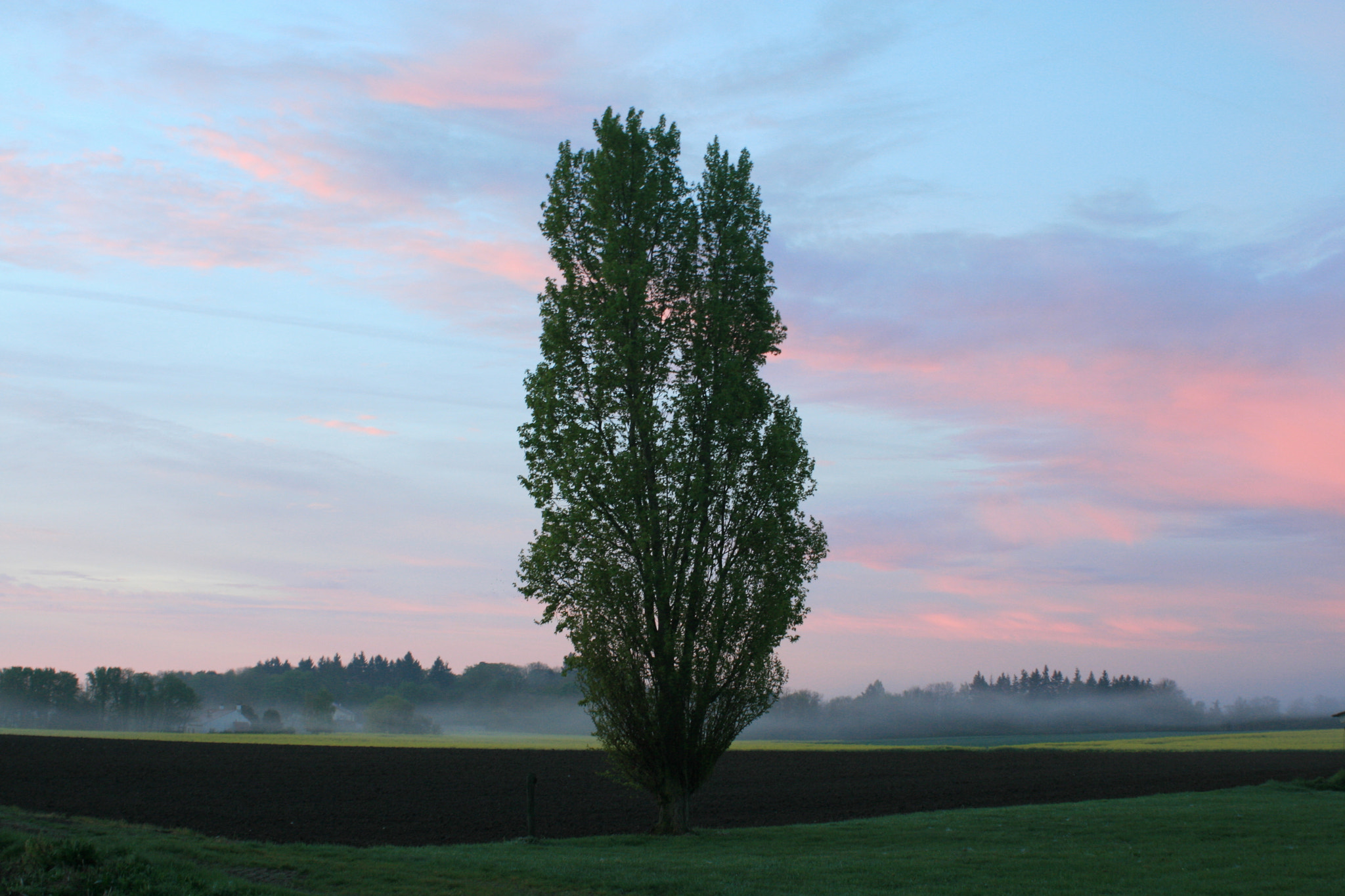 Canon EF 28-80mm f/3.5-5.6 USM IV sample photo. Aurore sur champs photography