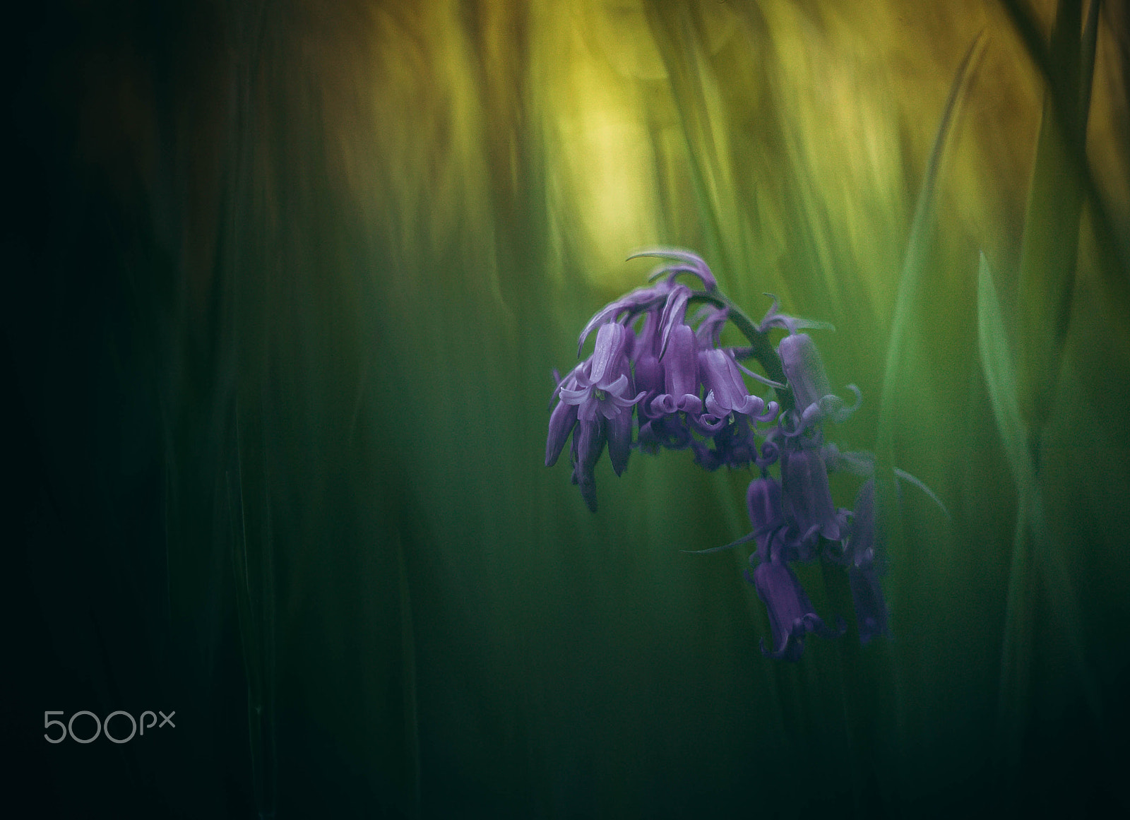 Canon EOS-1Ds sample photo. Fujinon ebc photography