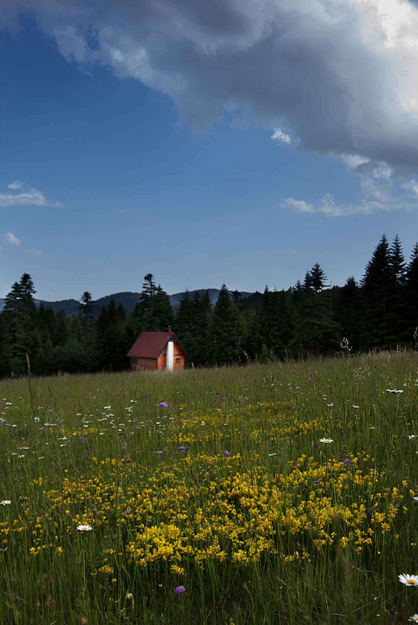 Nikon D60 sample photo. Vikendica photography