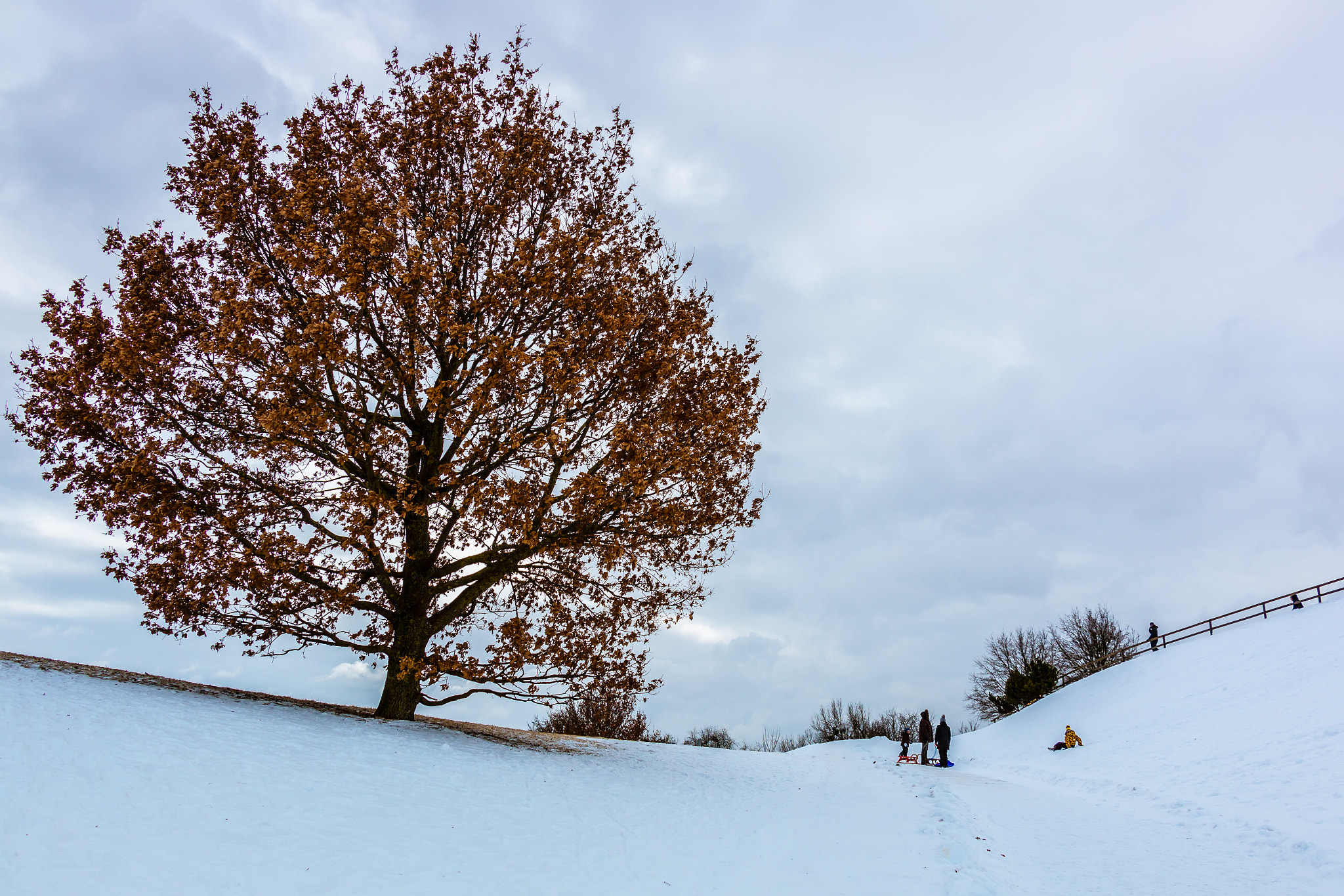 Canon EF-S 18-135mm F3.5-5.6 IS STM sample photo. Winter is coming photography