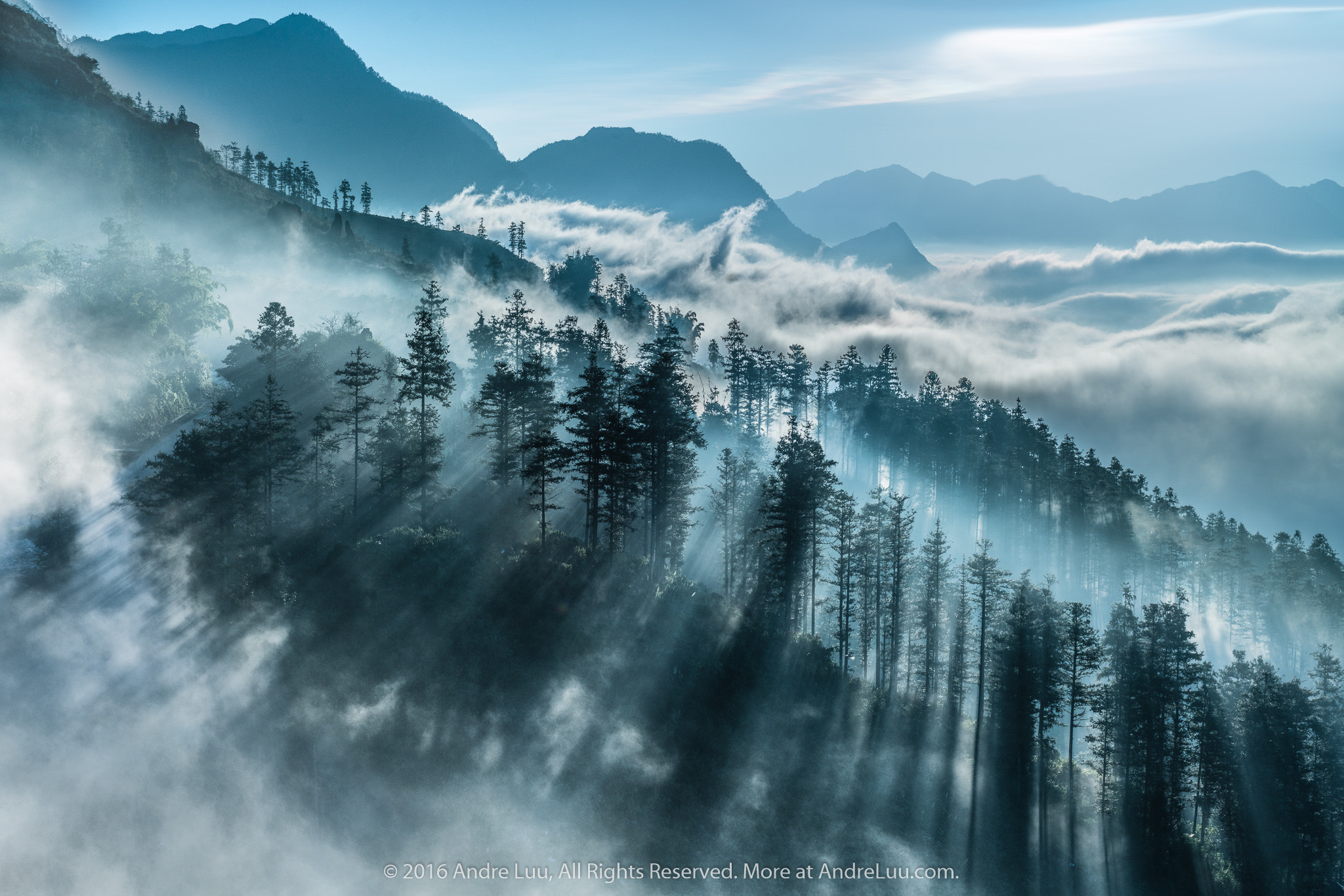 Tamron SP 70-300mm F4-5.6 Di USD sample photo. White rays sapa photography