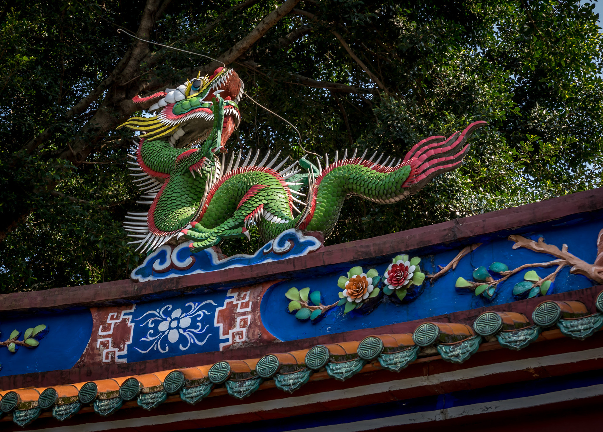 Sigma 18-35mm f/1.8 DC HSM sample photo. Dragon photography