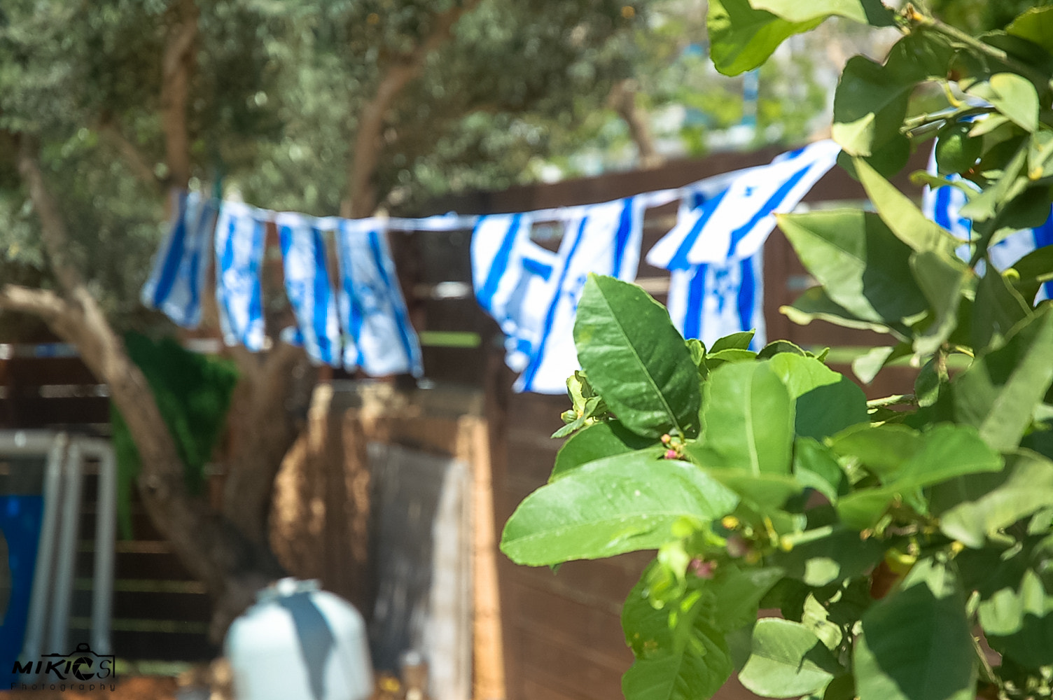 Nikon D50 sample photo. Israel photography