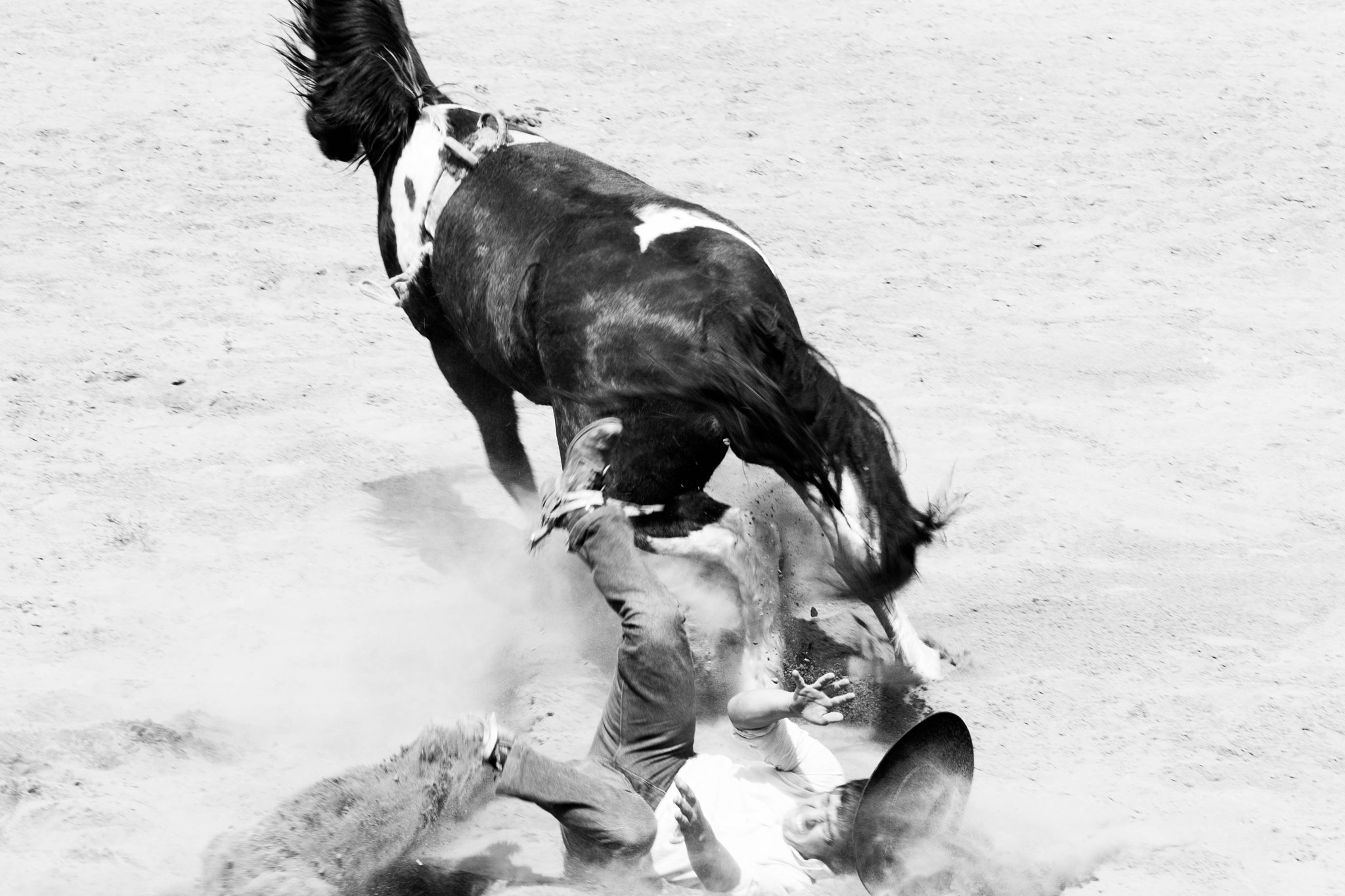 Canon EOS 1000D (EOS Digital Rebel XS / EOS Kiss F) sample photo. Rodeo photography