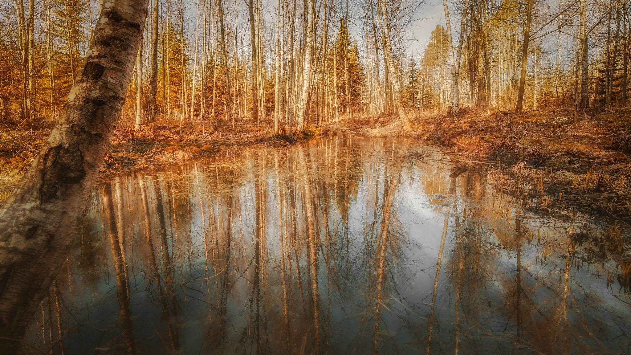 Nikon D3 sample photo. A small pond photography