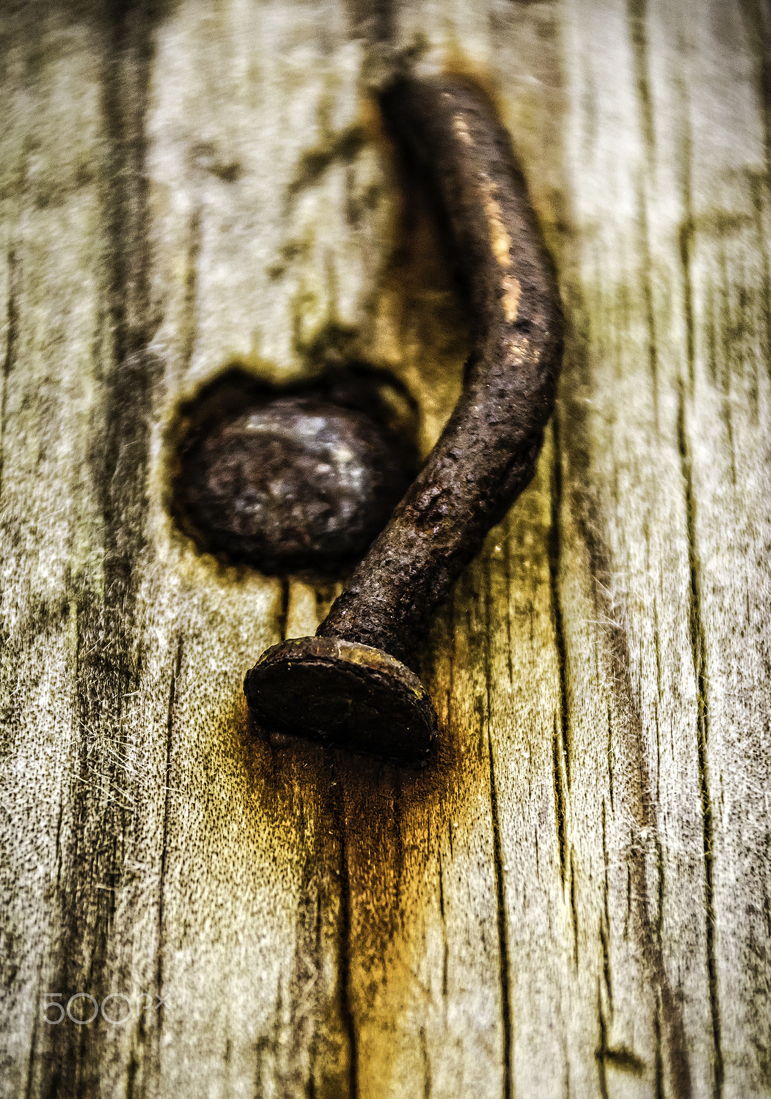 Sigma 18-250mm F3.5-6.3 DC OS HSM sample photo. Almost nailed it photography