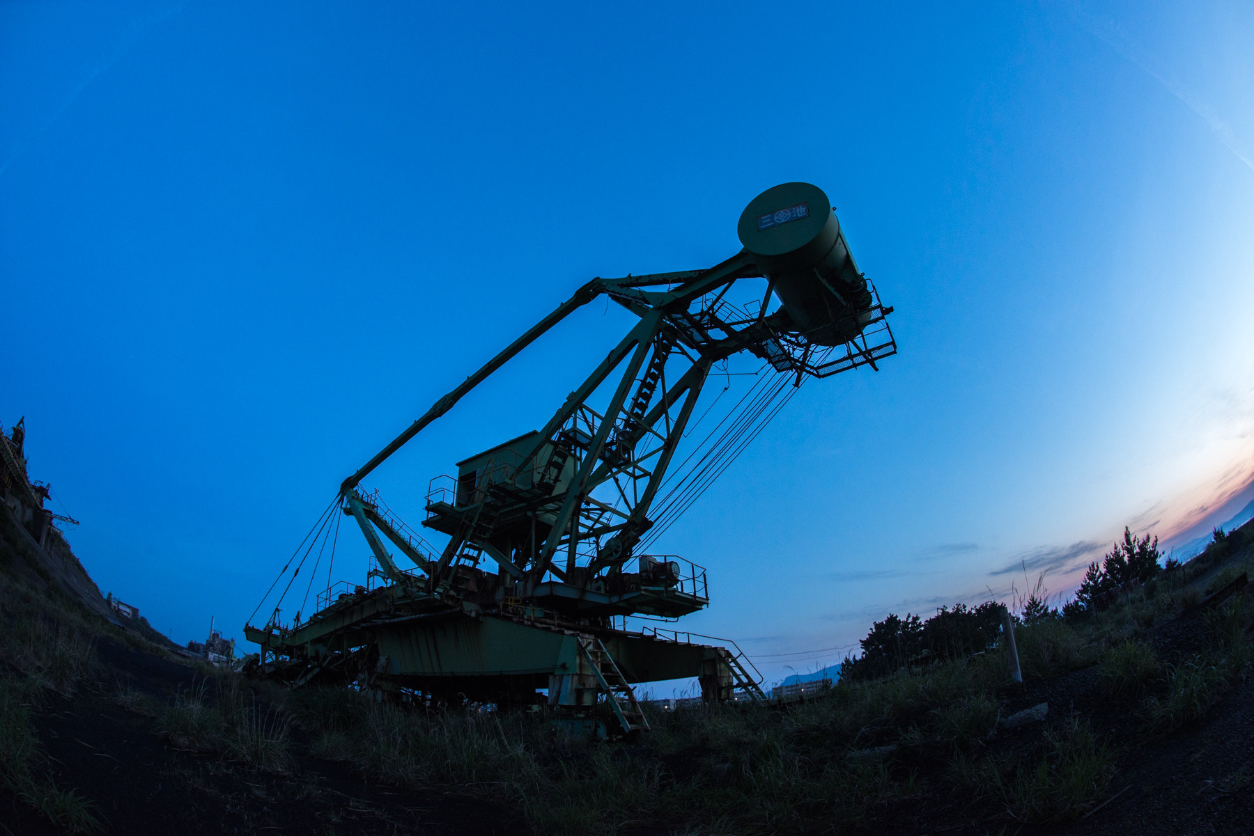 Nikon D800 + Nikon AF Fisheye-Nikkor 16mm F2.8D sample photo. Giant insects photography