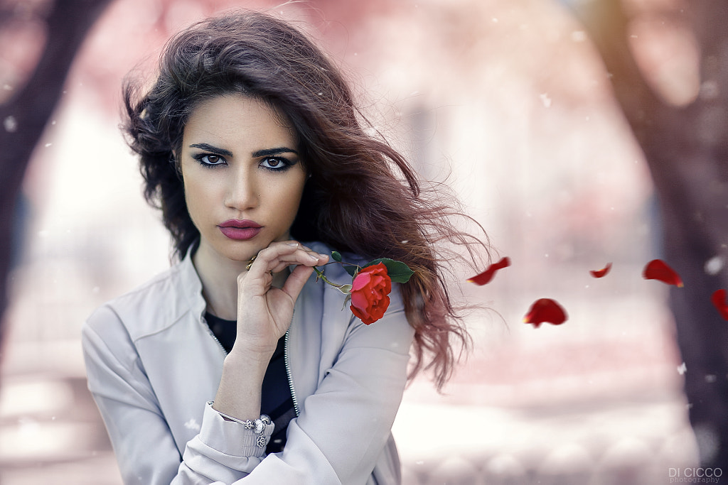 Alessandro Di Cicco Medlinyelle