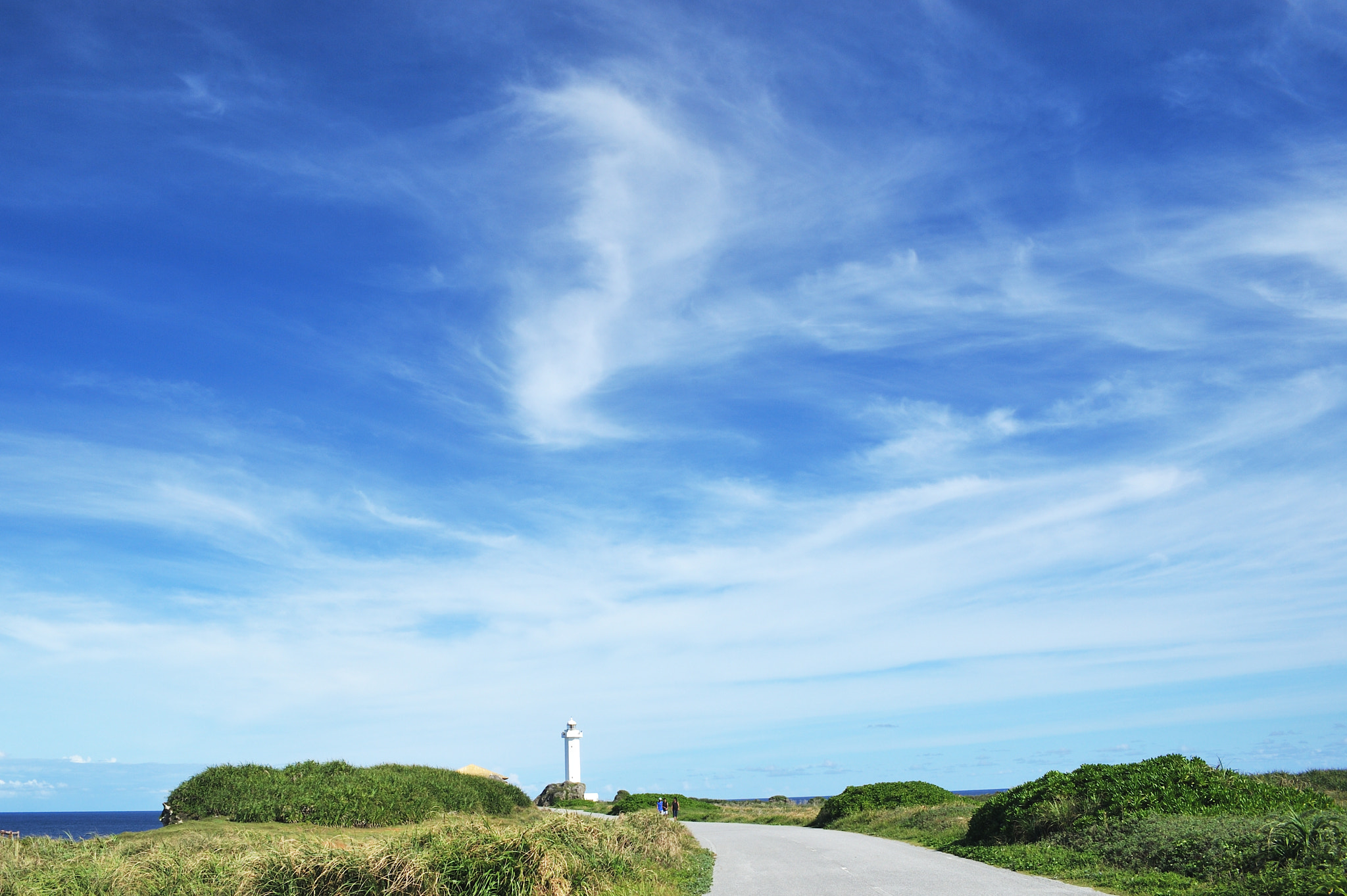 Nikon D3 + Sigma 28-70mm F2.8 EX sample photo. White bird in the sky photography