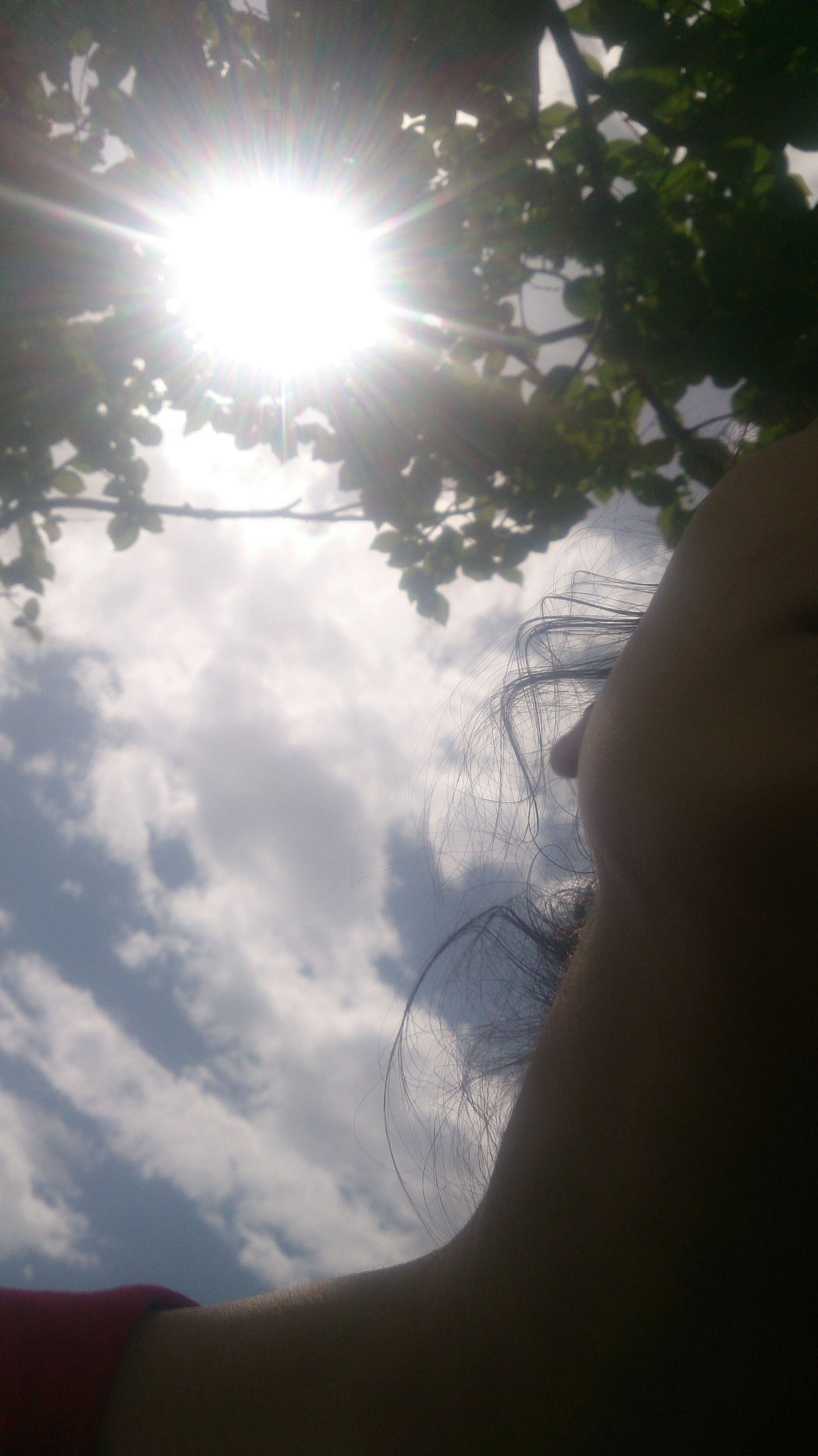 Sony Xperia ZR sample photo
