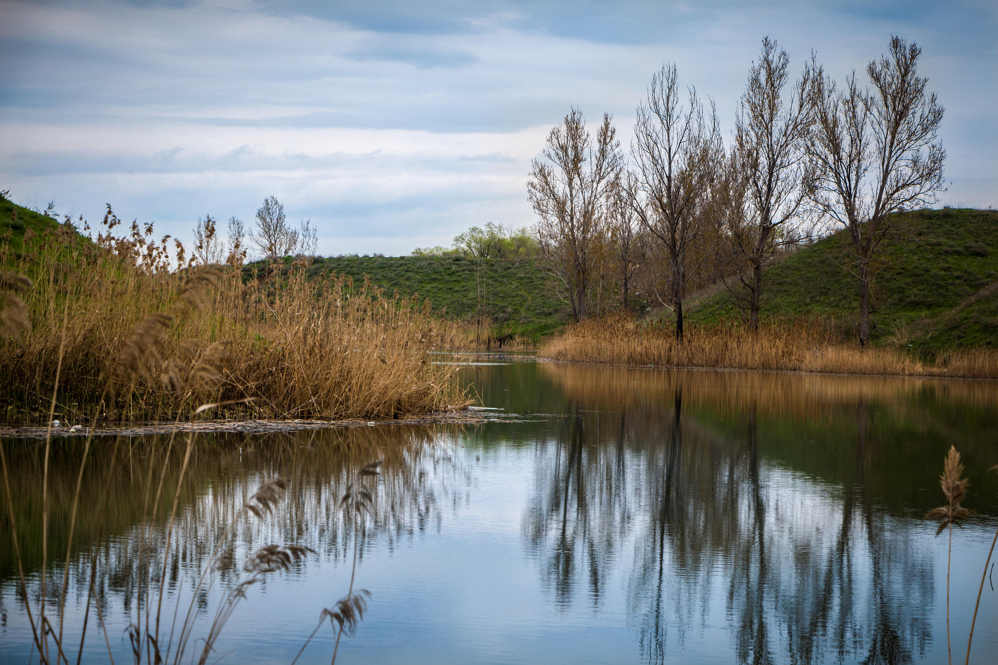 Canon EF-S 18-135mm F3.5-5.6 IS STM sample photo. У реки photography