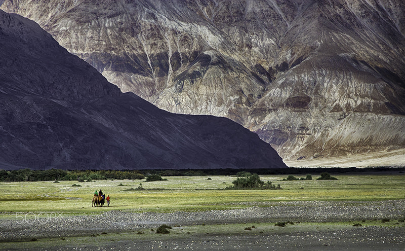 Canon EF 28-135mm F3.5-5.6 IS USM sample photo. Nubra valley photography