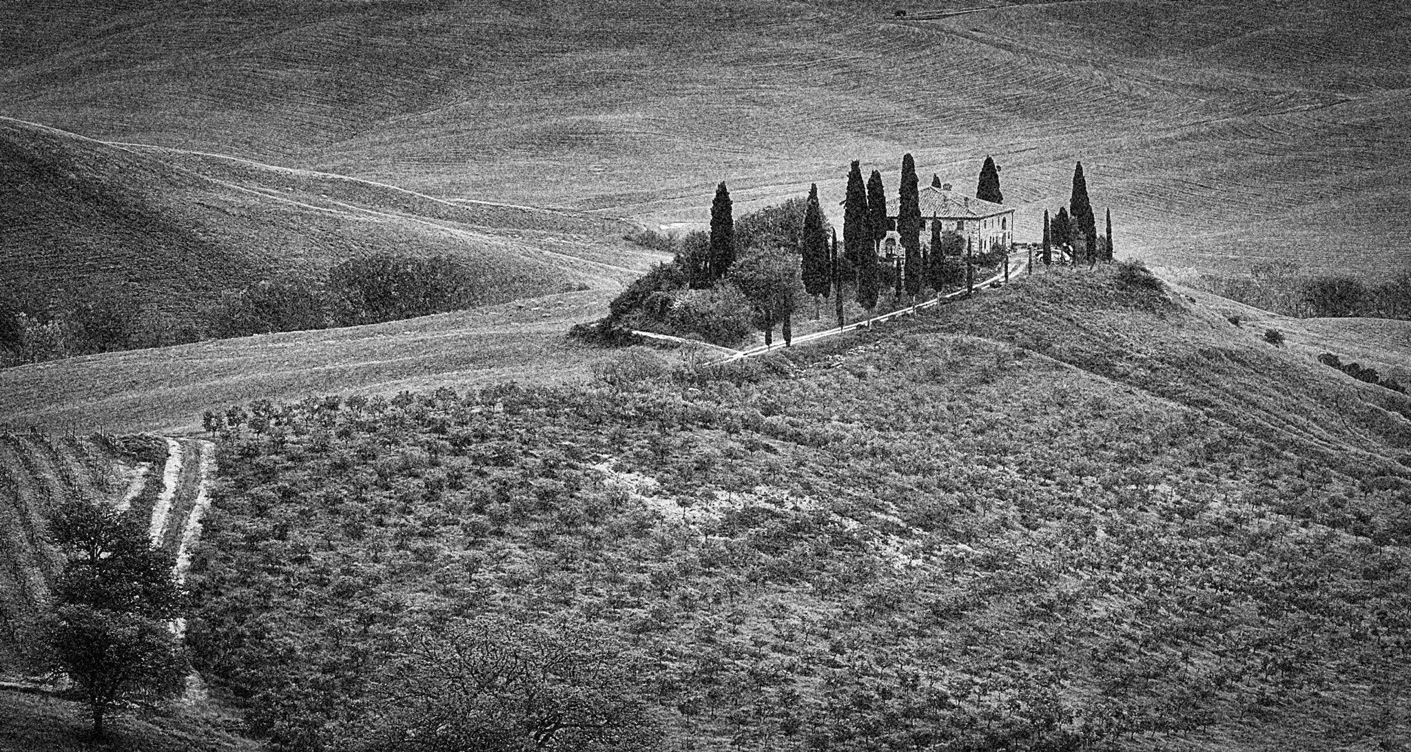 Phase One IQ160 sample photo. Morning in tuscany photography