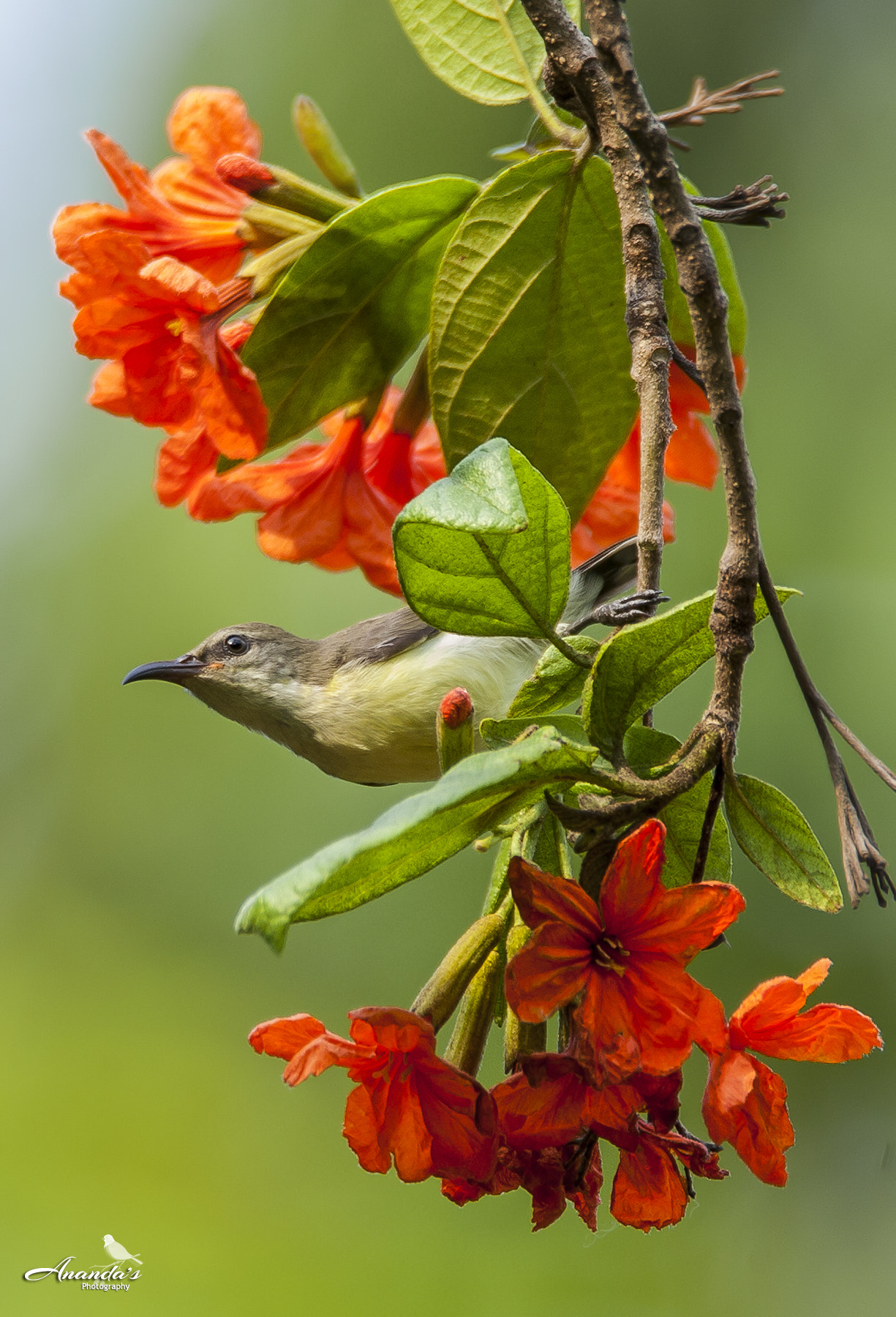 Tamron SP 150-600mm F5-6.3 Di VC USD sample photo. Contrast photography