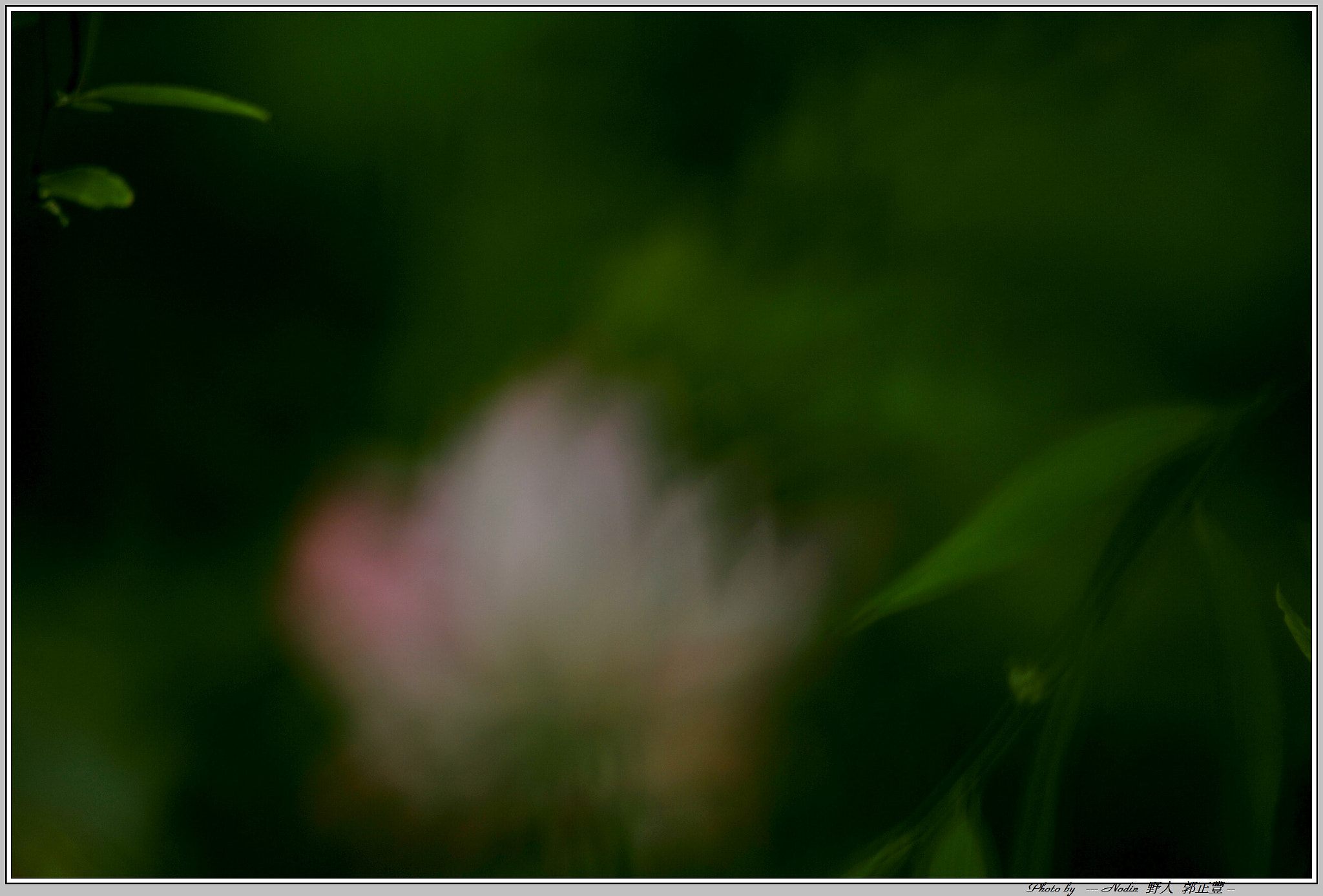 Sigma 70-300mm F4-5.6 APO Macro Super II sample photo. Dsc_1699-1.jpg photography
