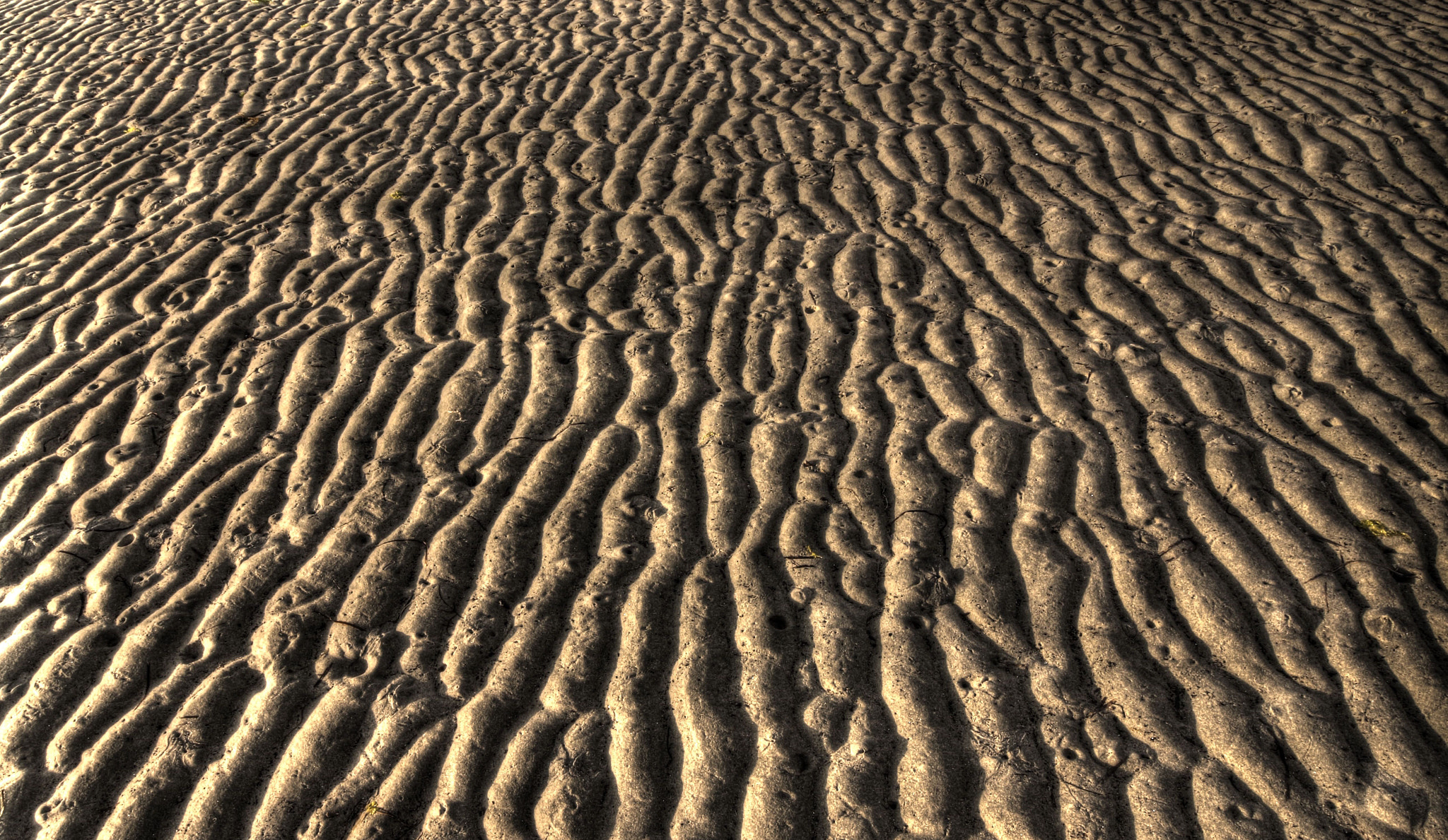 Canon EF-S 10-18mm F4.5–5.6 IS STM sample photo. Ripples in sand photography
