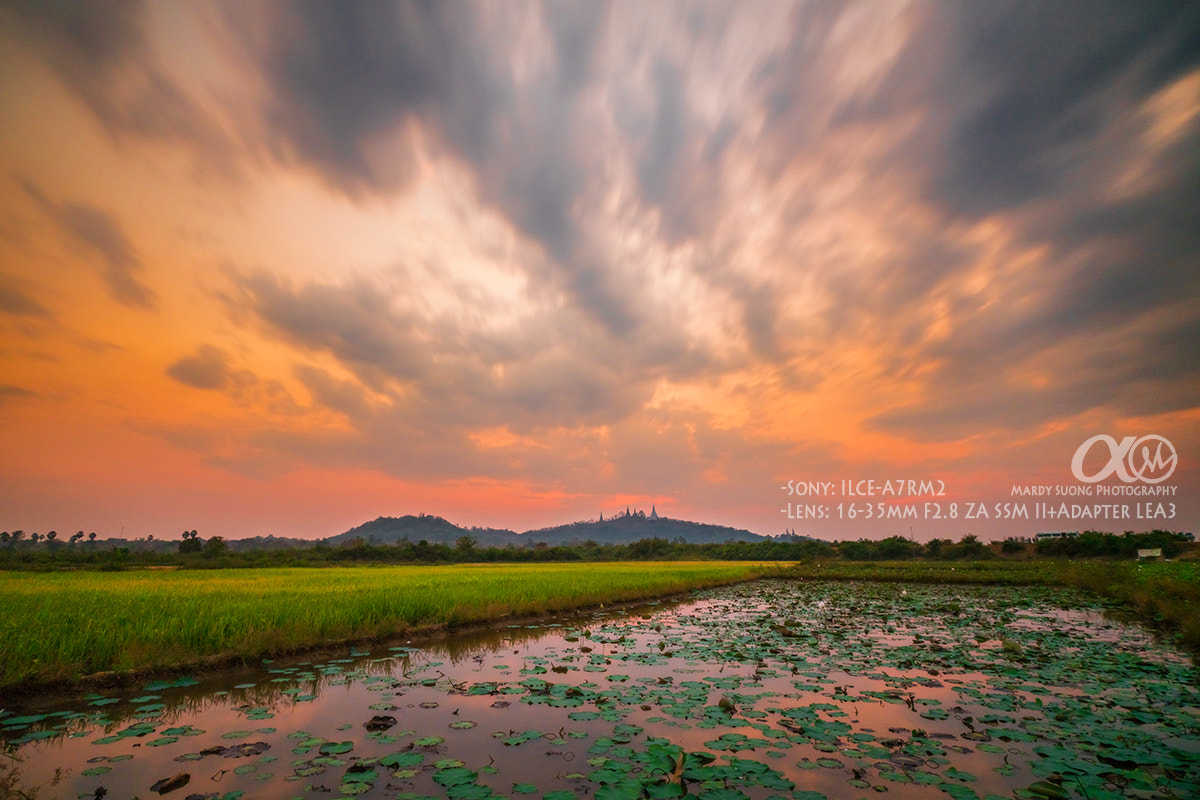 Sony Vario-Sonnar T* 16-35mm F2.8 ZA SSM II sample photo. 2st sony digital workshop ! photography