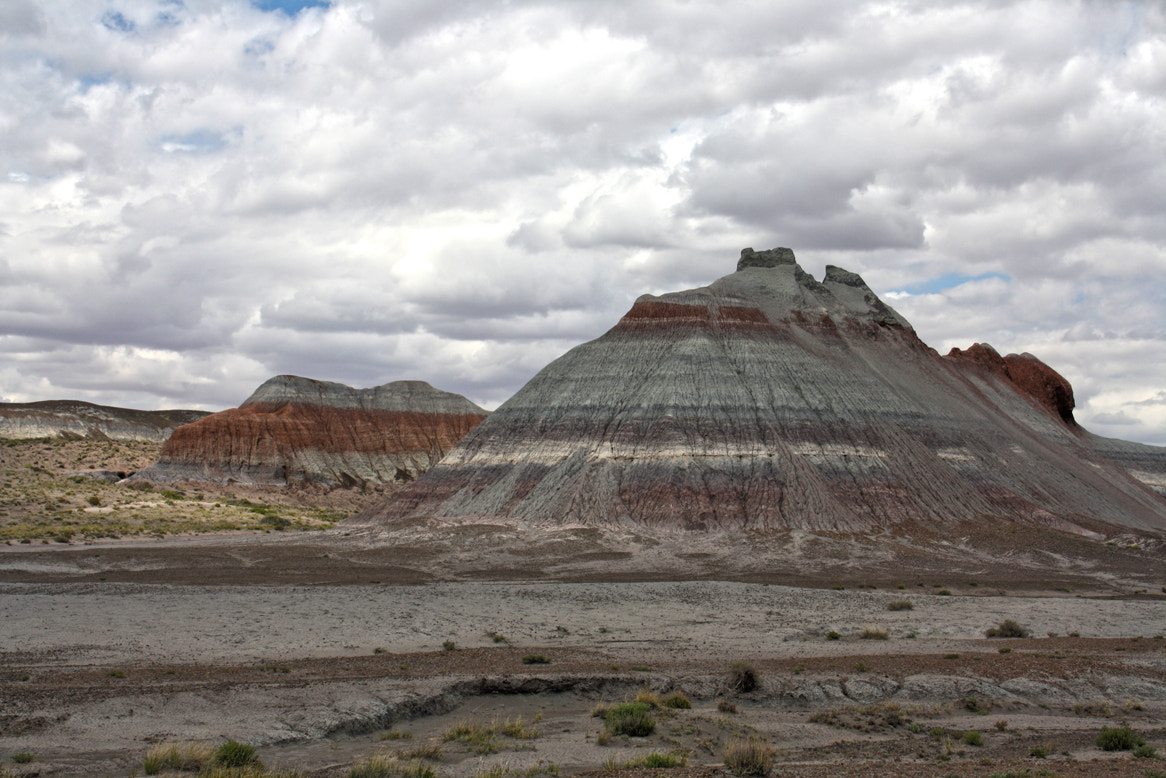 Canon EOS 1000D (EOS Digital Rebel XS / EOS Kiss F) sample photo. Petrified forest national park photography