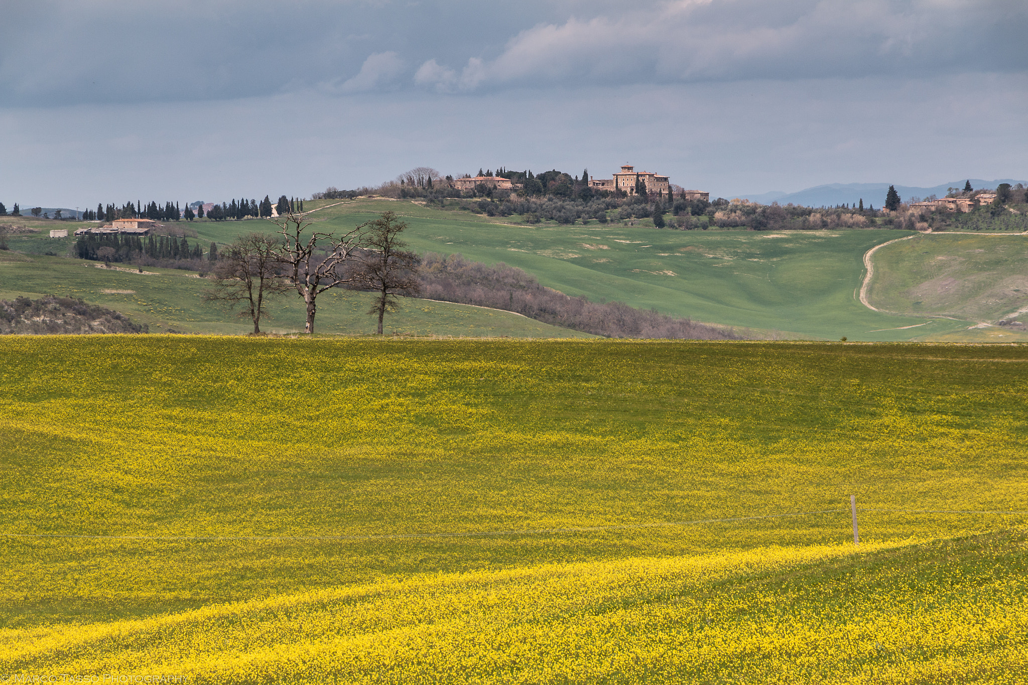 Canon EF-S 18-135mm F3.5-5.6 IS STM sample photo. Panorama sulla val d'orcia photography
