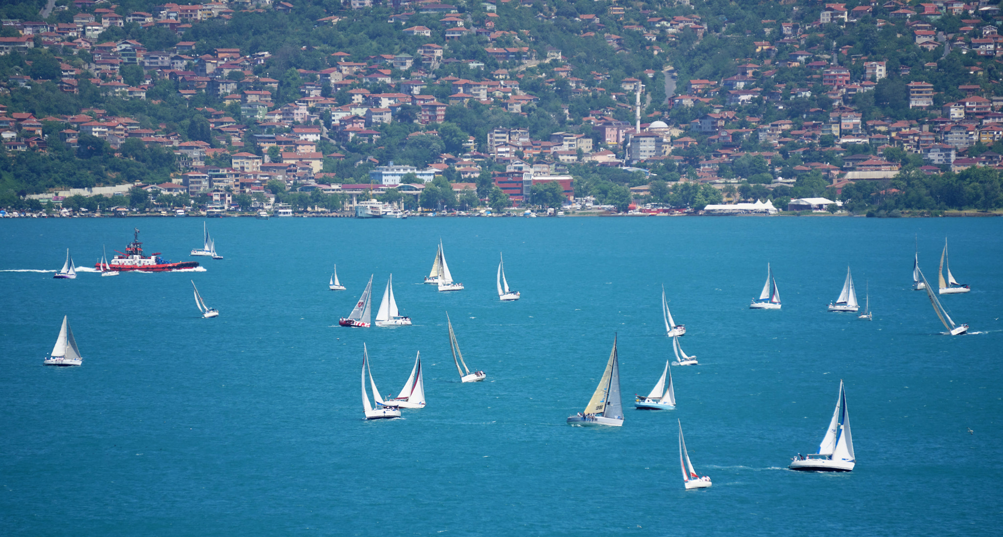 Sony E 55-210mm F4.5-6.3 OSS sample photo. Bosphorus cup, sailboats 1 photography