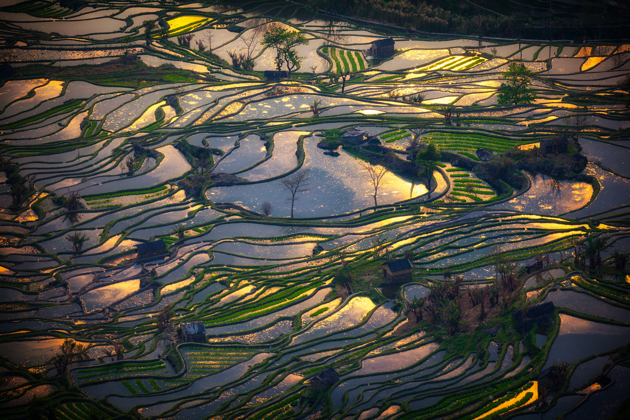 Canon EF 100-400mm F4.5-5.6L IS II USM sample photo. Reflections from heaven photography