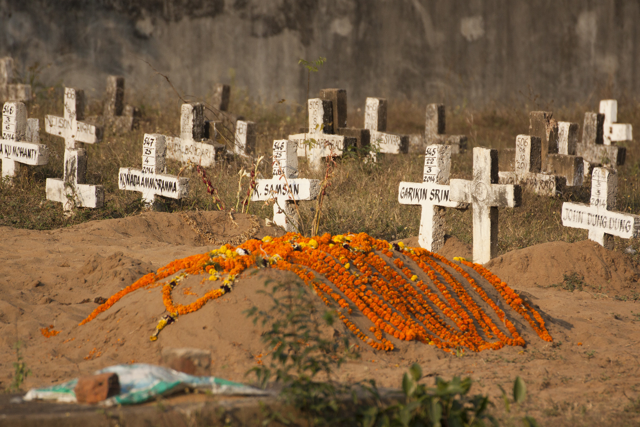 Canon EOS 50D + Tamron SP 70-300mm F4-5.6 Di VC USD sample photo. Waiting for a proper grave photography