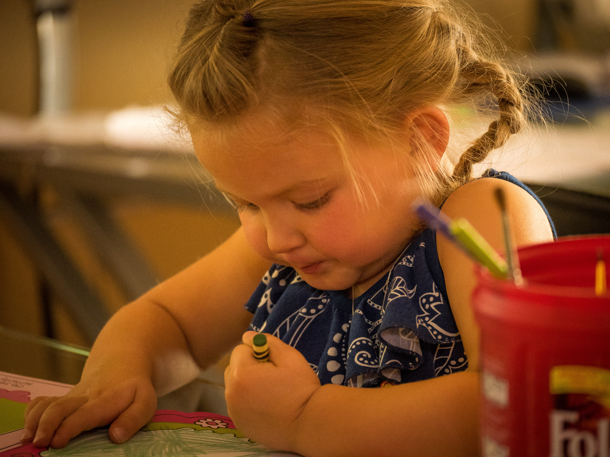 Panasonic Lumix G X Vario 35-100mm F2.8 OIS sample photo. The 100 day project 28/100 - concentration photography