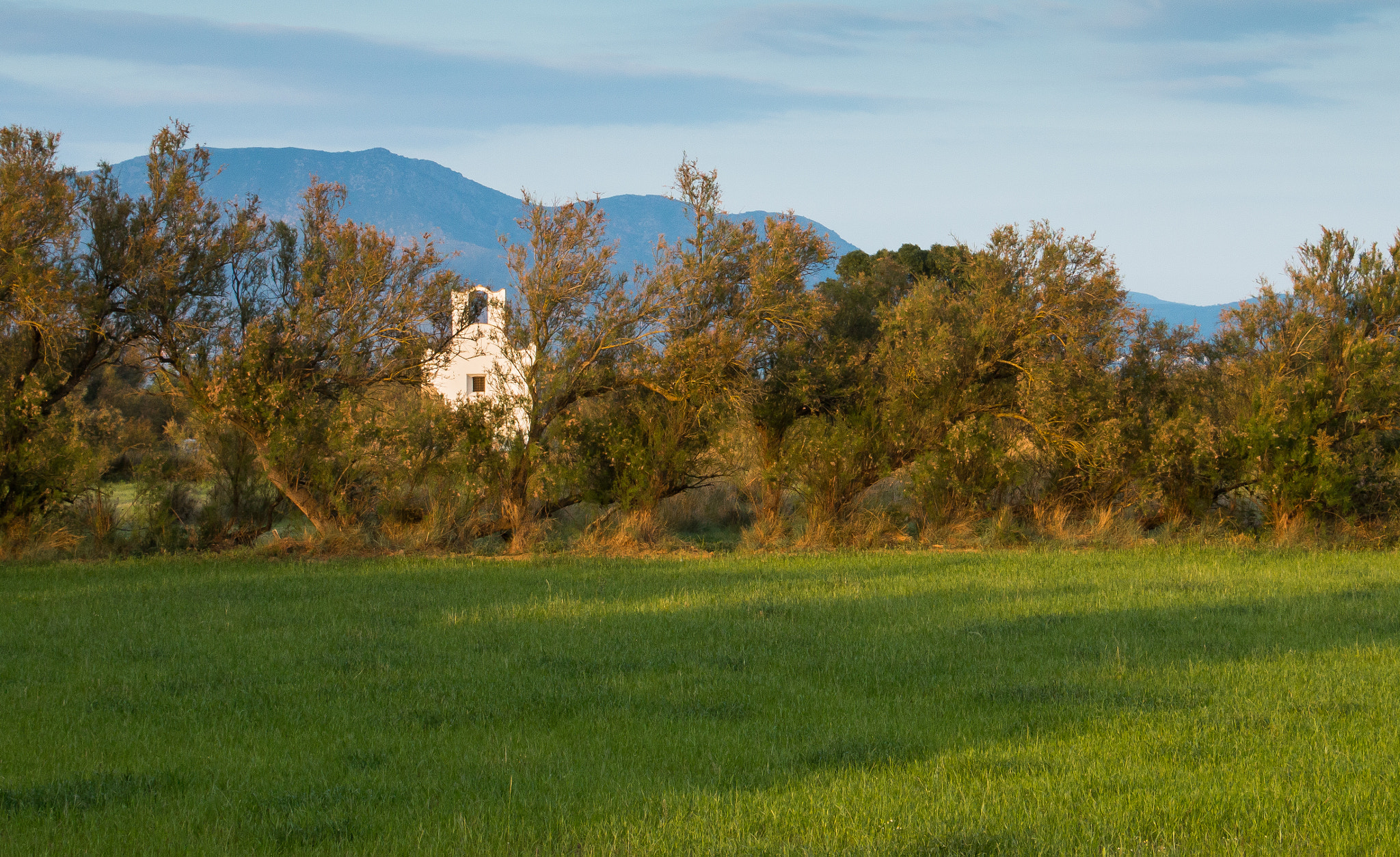 Canon EF-S 18-135mm F3.5-5.6 IS STM sample photo. The lost church photography