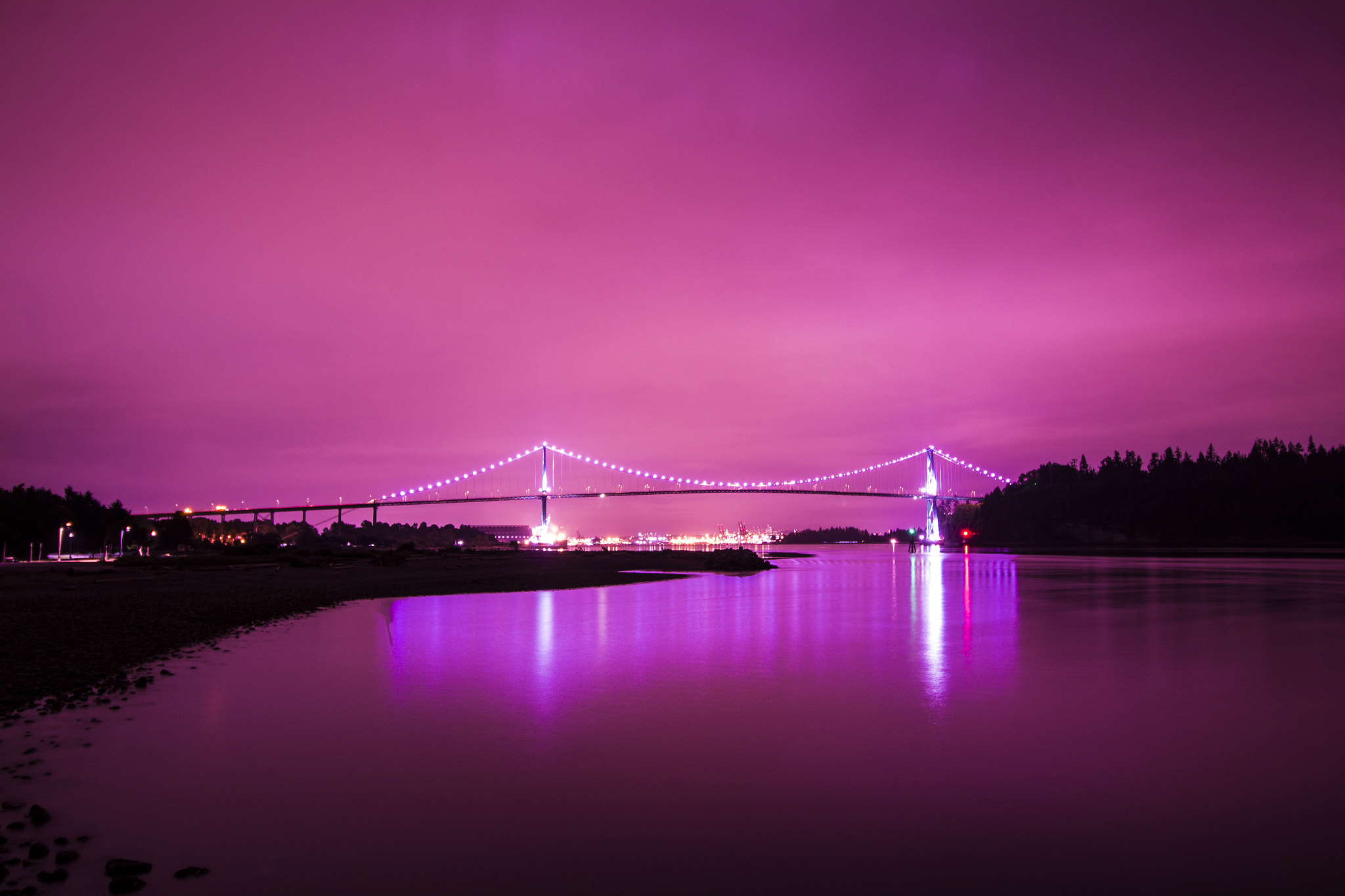 Canon EF-S 10-18mm F4.5–5.6 IS STM sample photo. Purple dreams photography