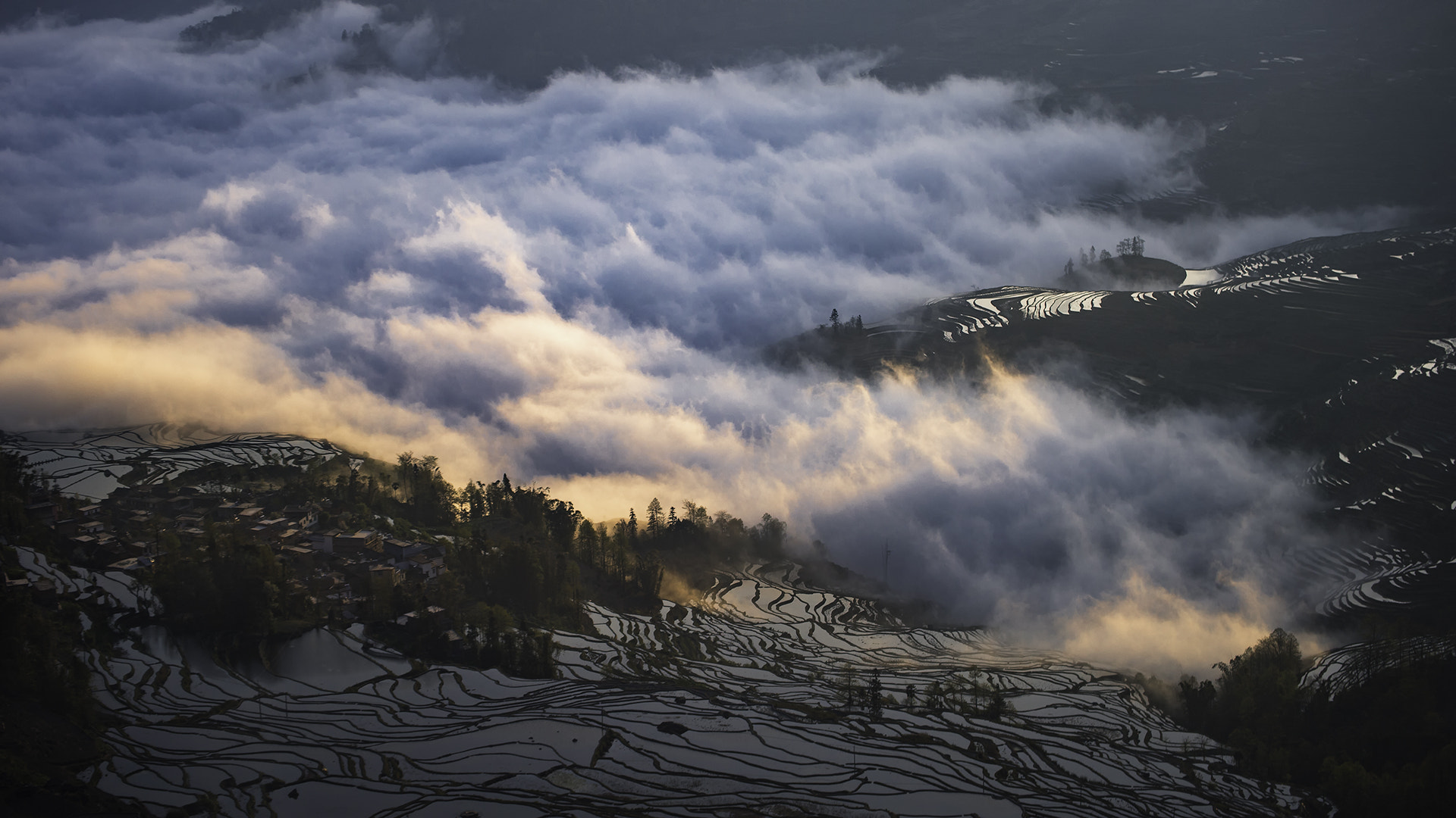 Nikon Df sample photo. Yuanyang photography